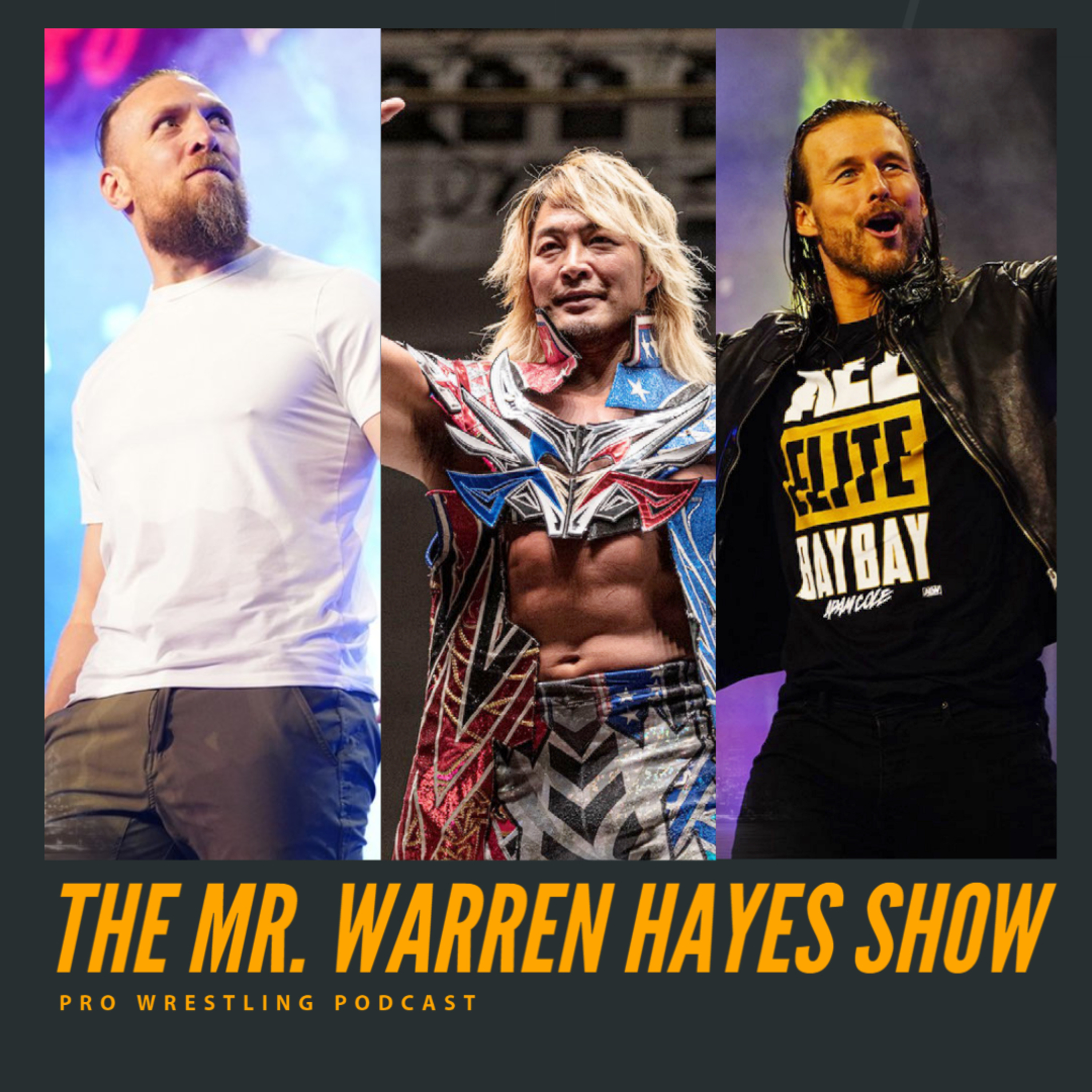 The Mr. Warren Hayes Show, a pro wrestling podcast