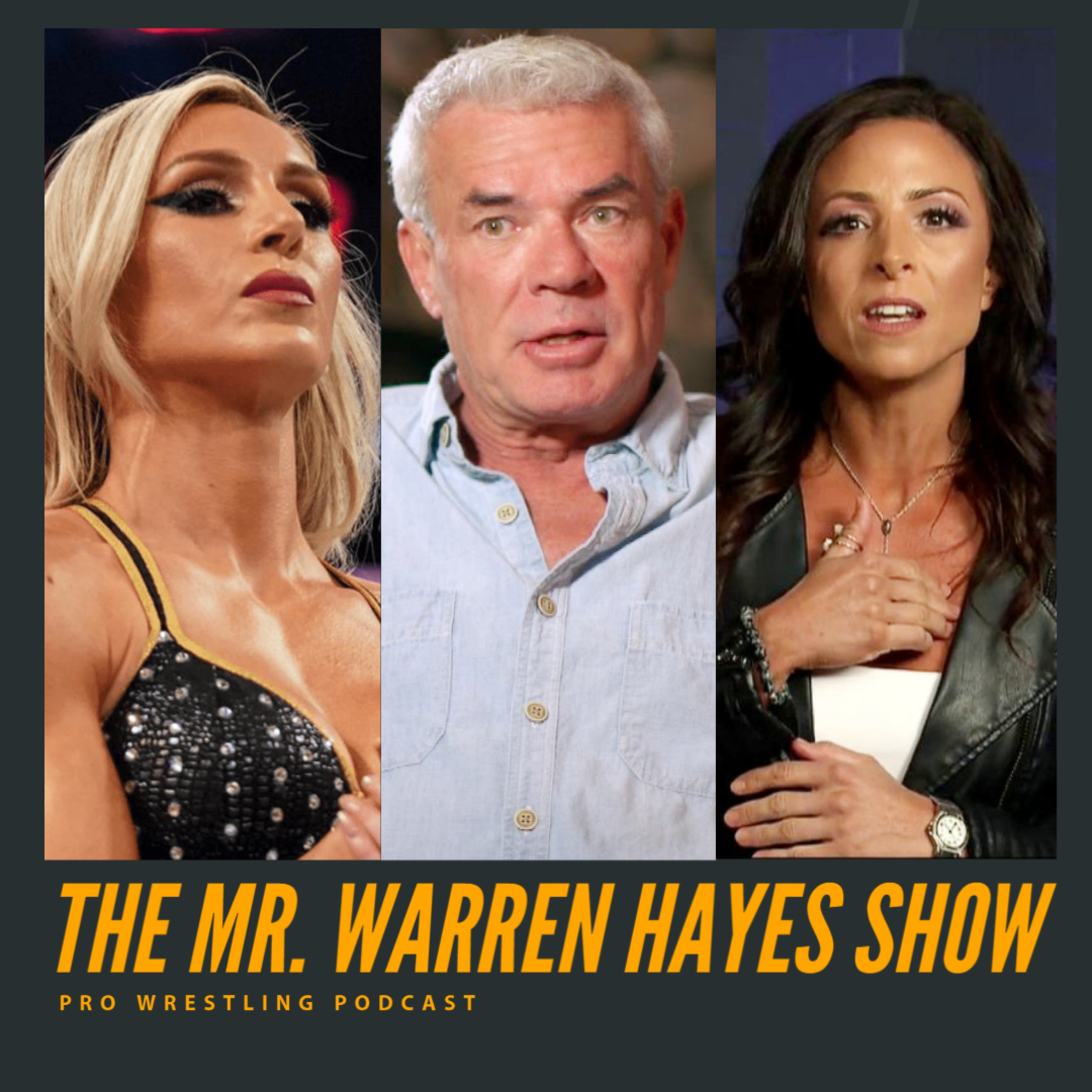 The Mr. Warren Hayes Show, a pro wrestling podcast