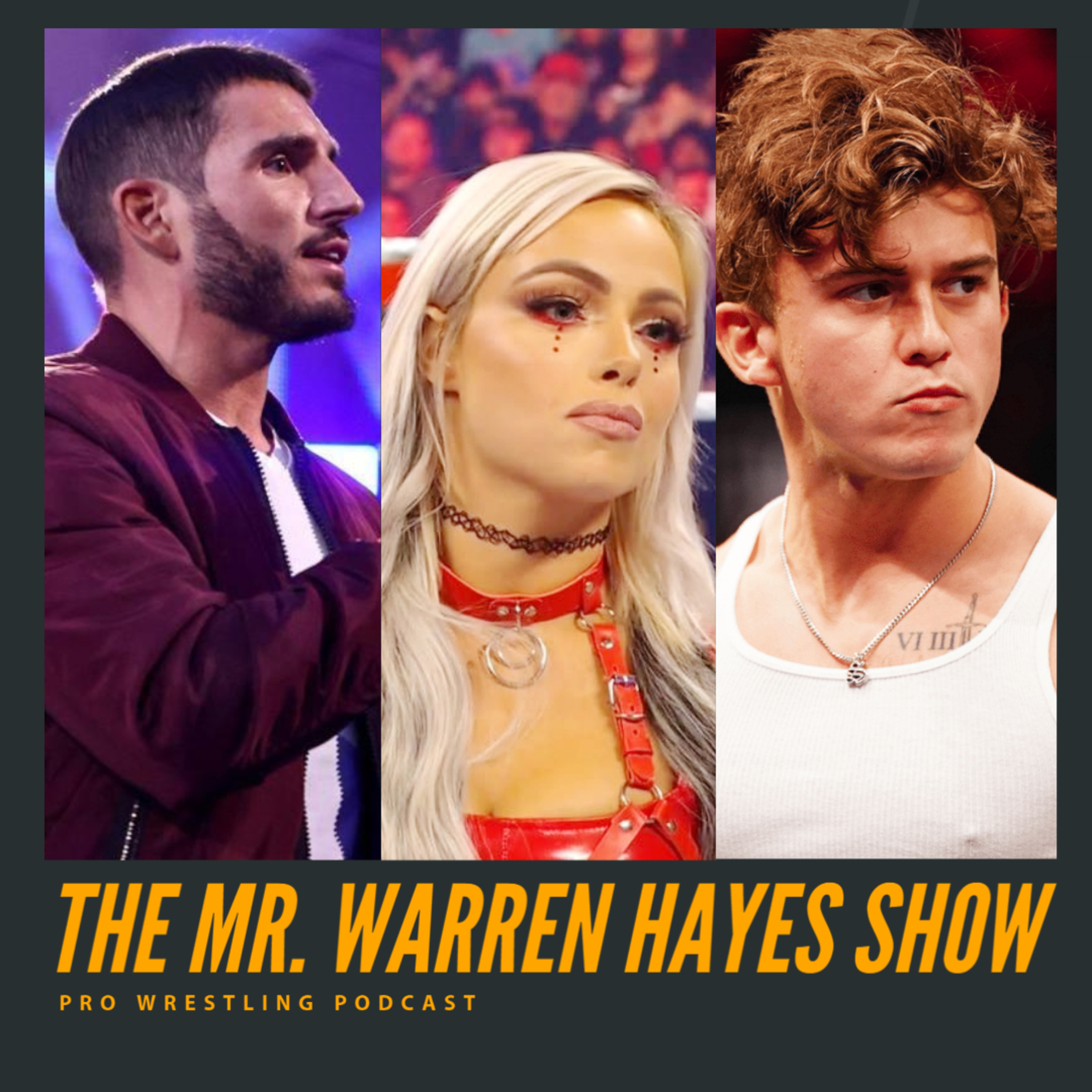 The Mr. Warren Hayes Show, a pro wrestling podcast