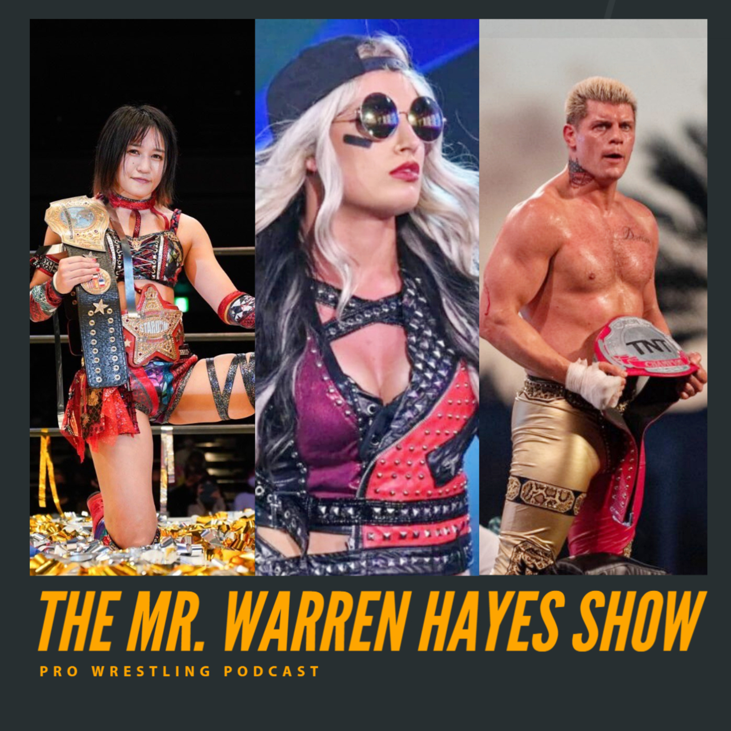 The Mr. Warren Hayes Show, a pro wrestling podcast