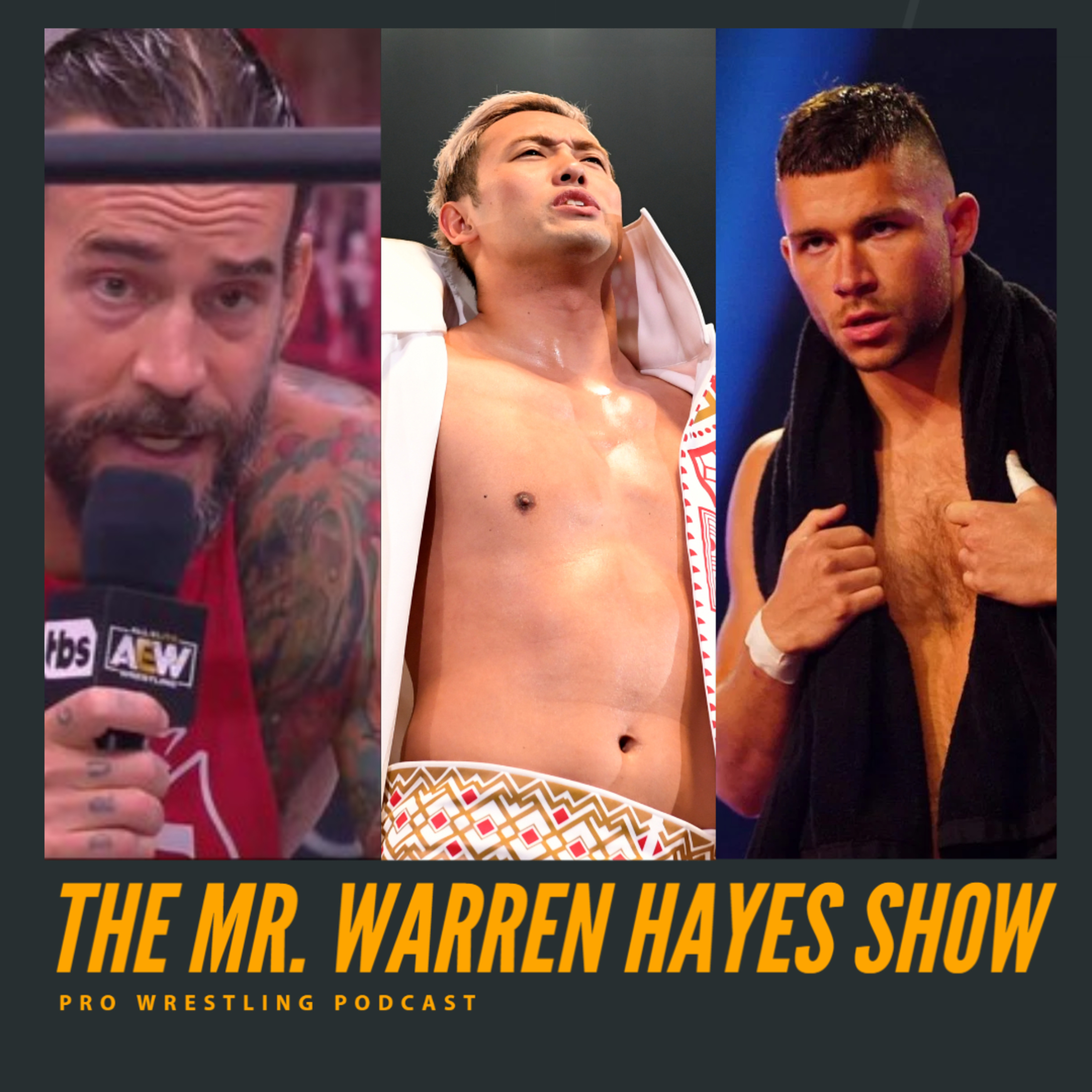 The Mr. Warren Hayes Show, a pro wrestling podcast