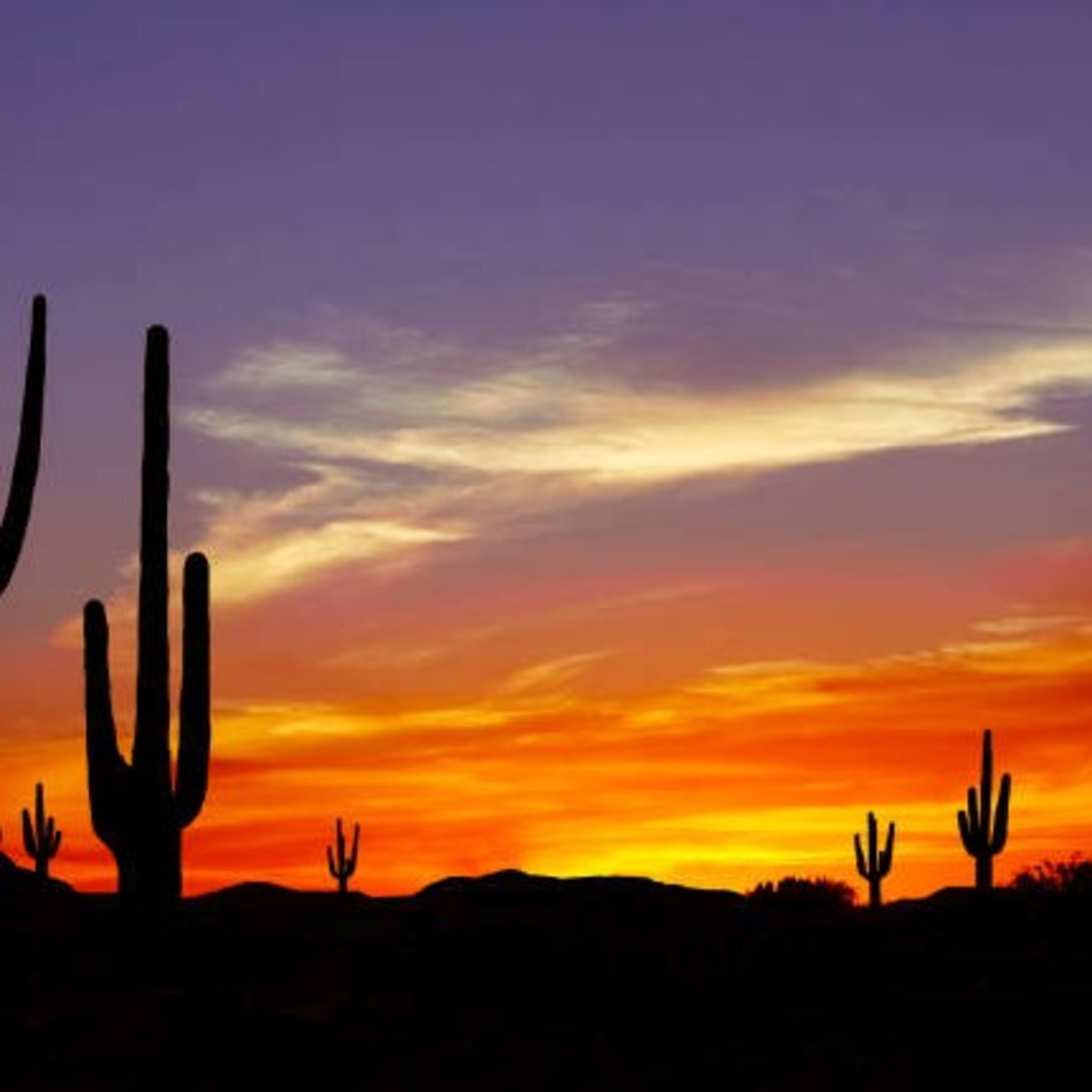 Arizona Heat MATURE WEEKLY LGBTQIA 🏳️‍⚧️ FanFic Podcast Drama Series { Created by PartyWill & Cassi