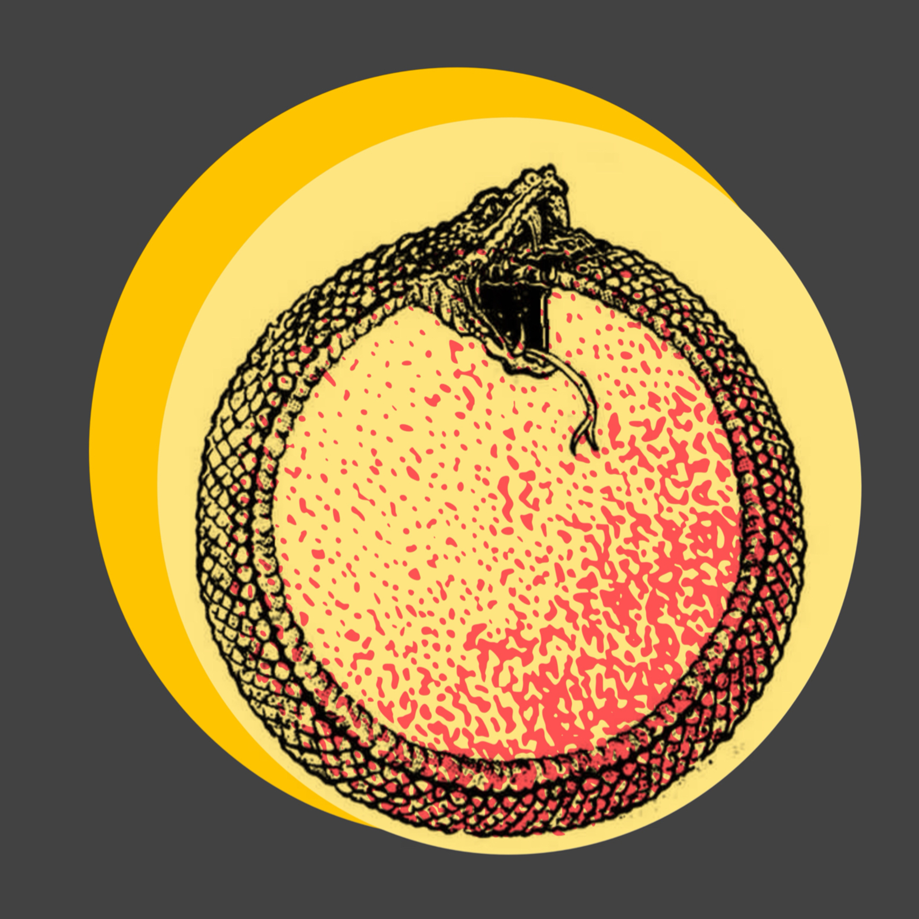 Episode 26: What if Life is a Circle? episode artwork