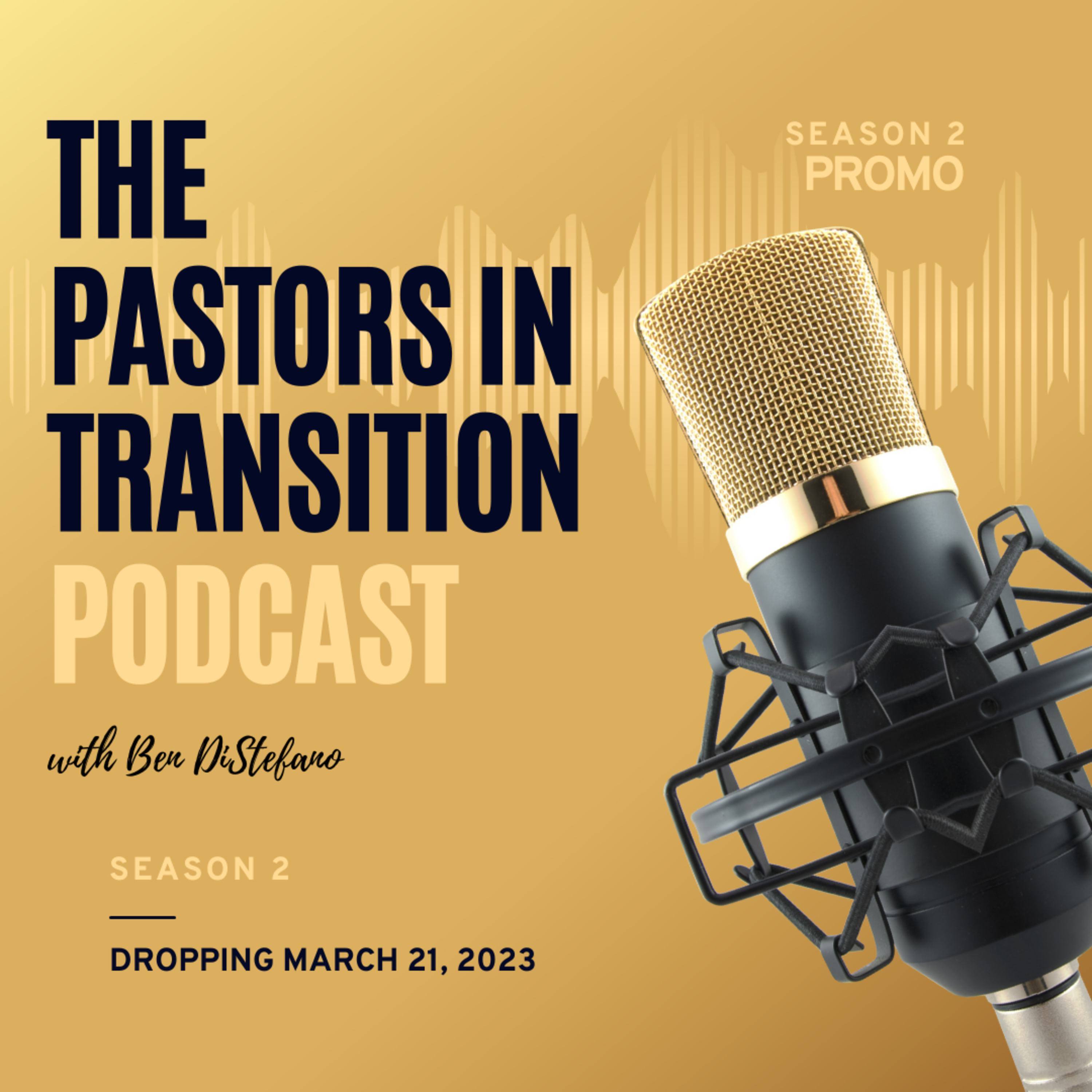 Pastors In Transition