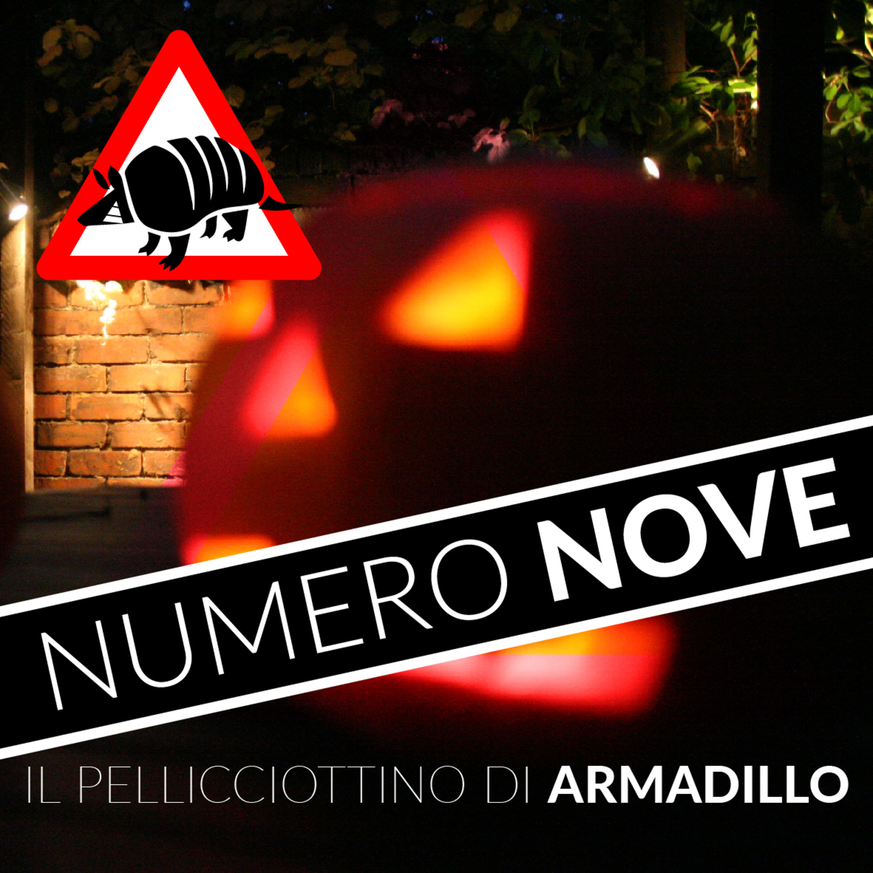 Il pellicciottino di Armadillo