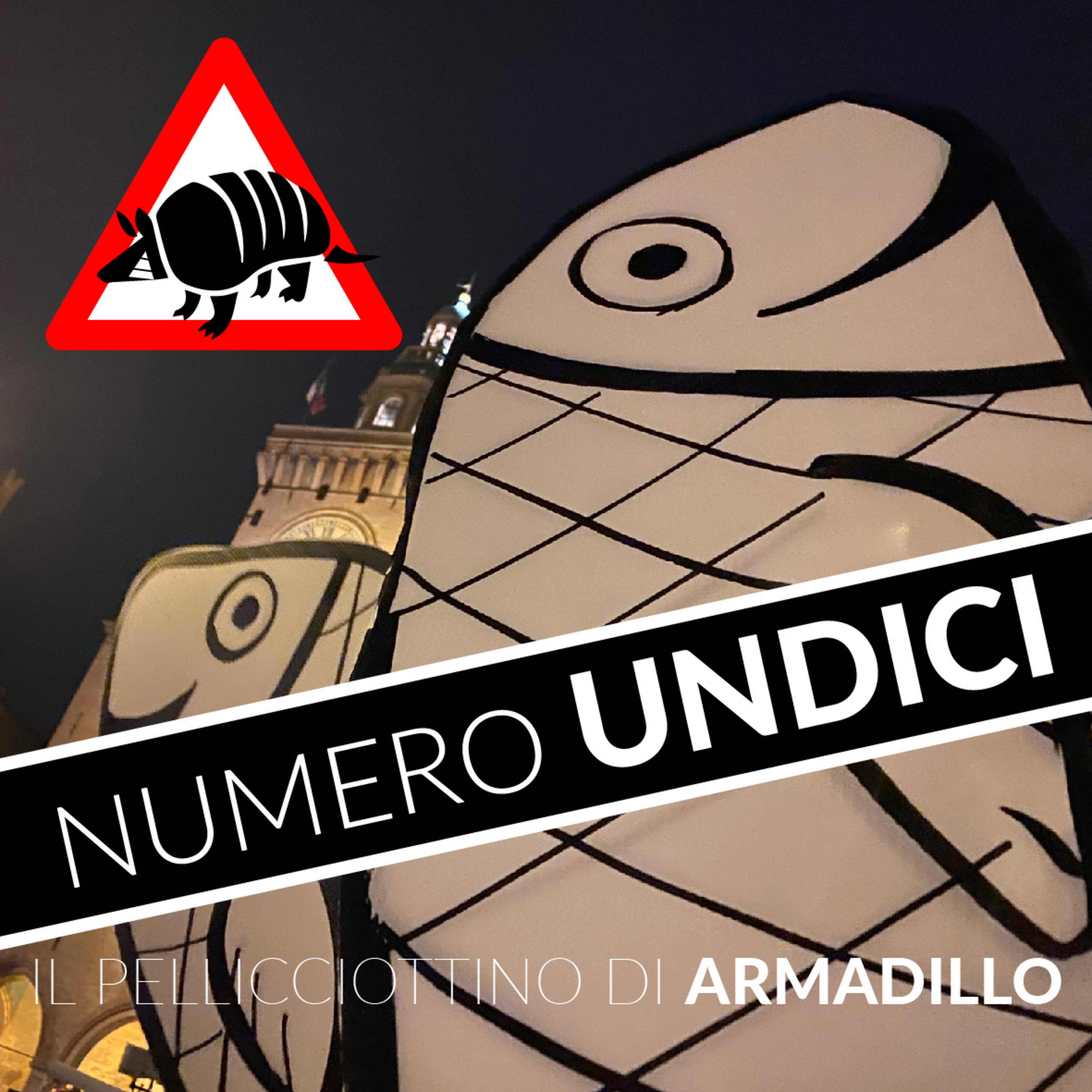 Il pellicciottino di Armadillo