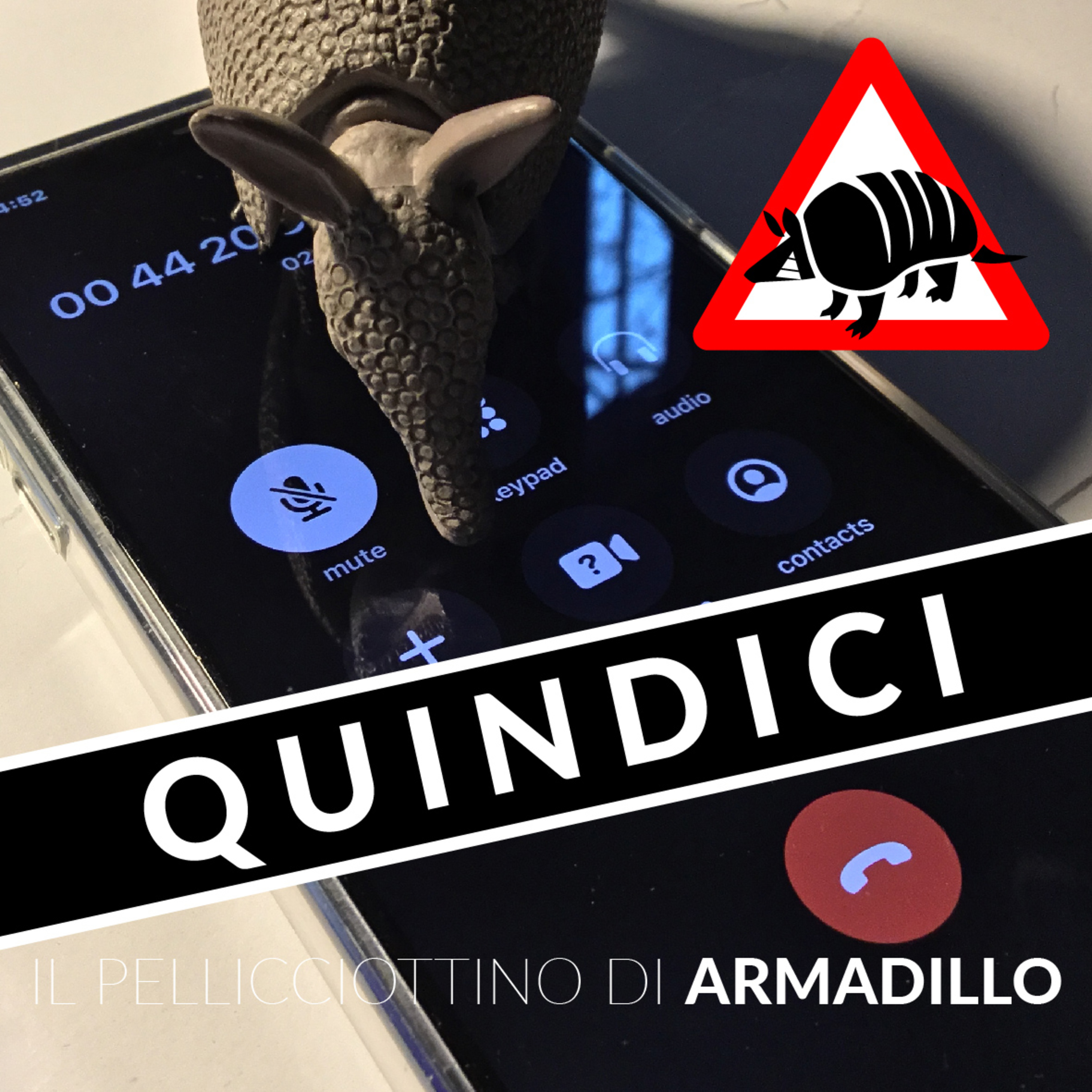 Il pellicciottino di Armadillo