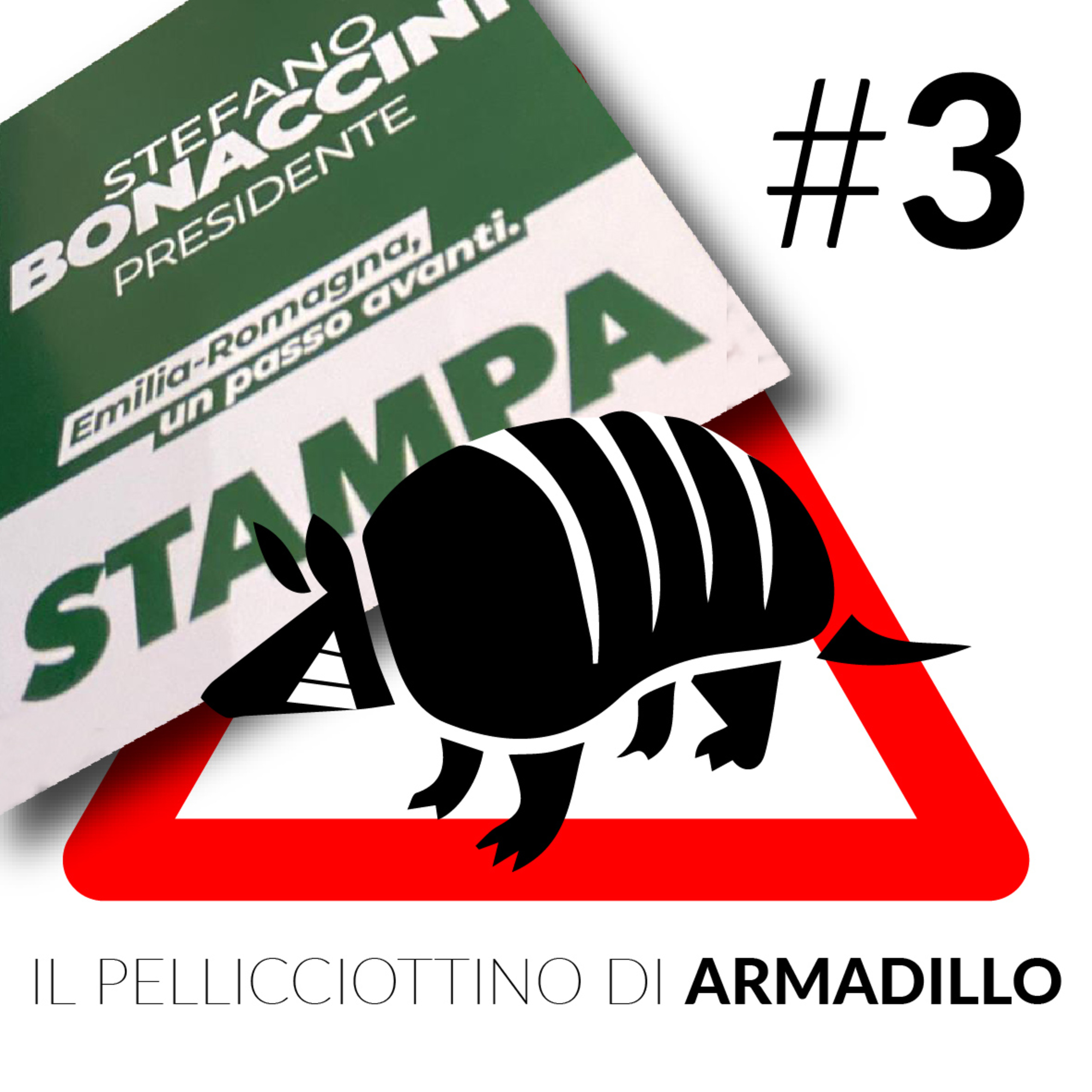 Il pellicciottino di Armadillo