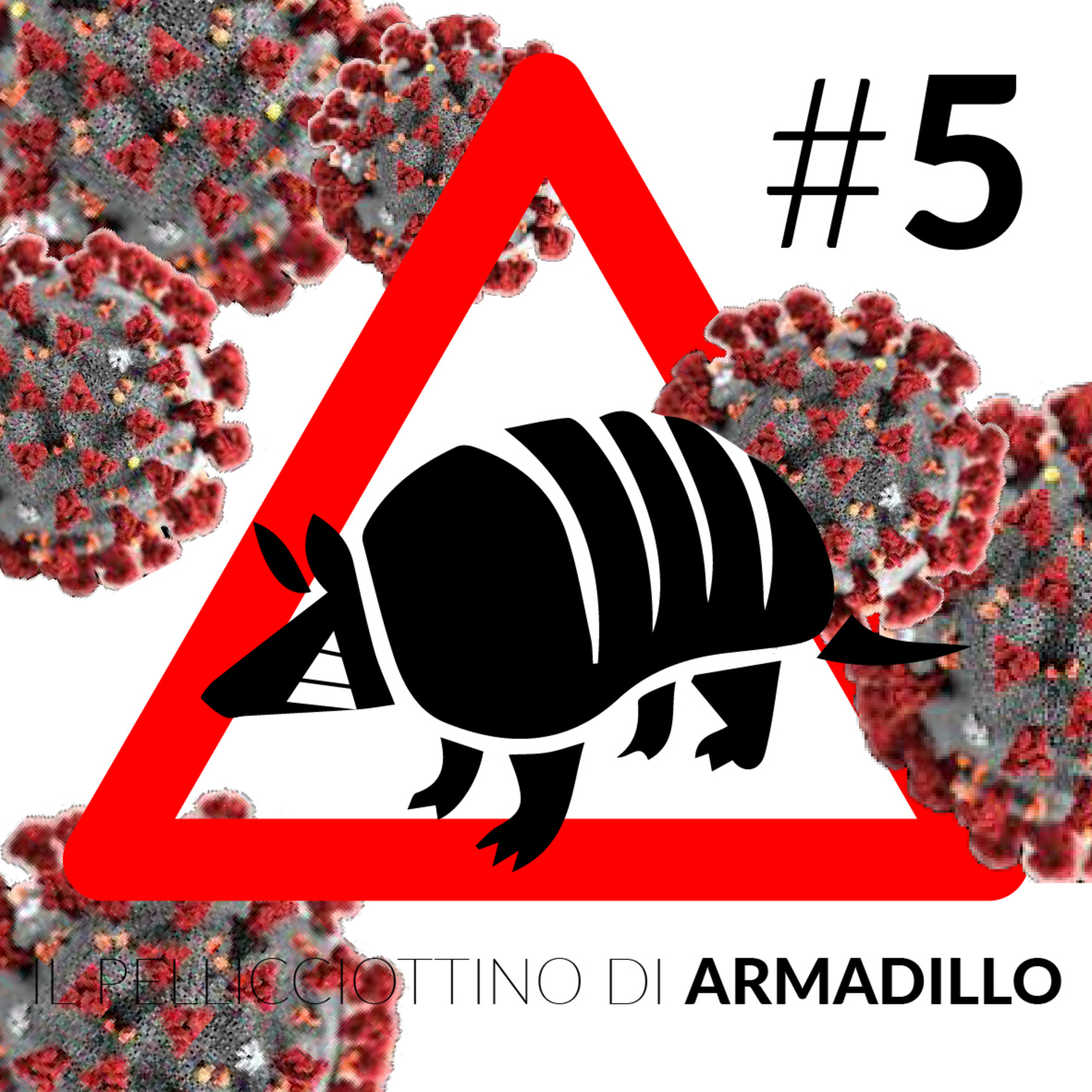 Il pellicciottino di Armadillo