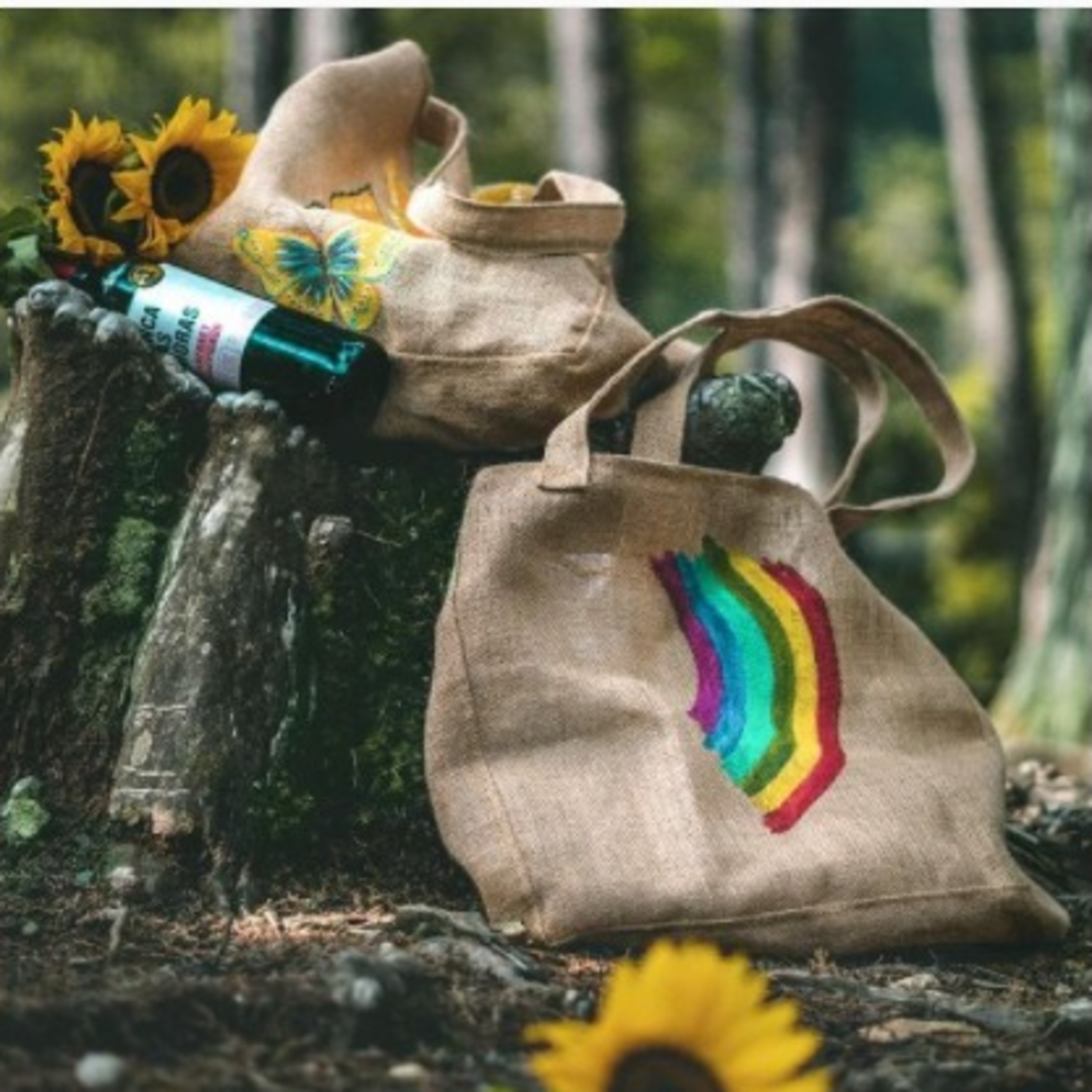 Terrabags: la sostenibilidad en los emprendimientos