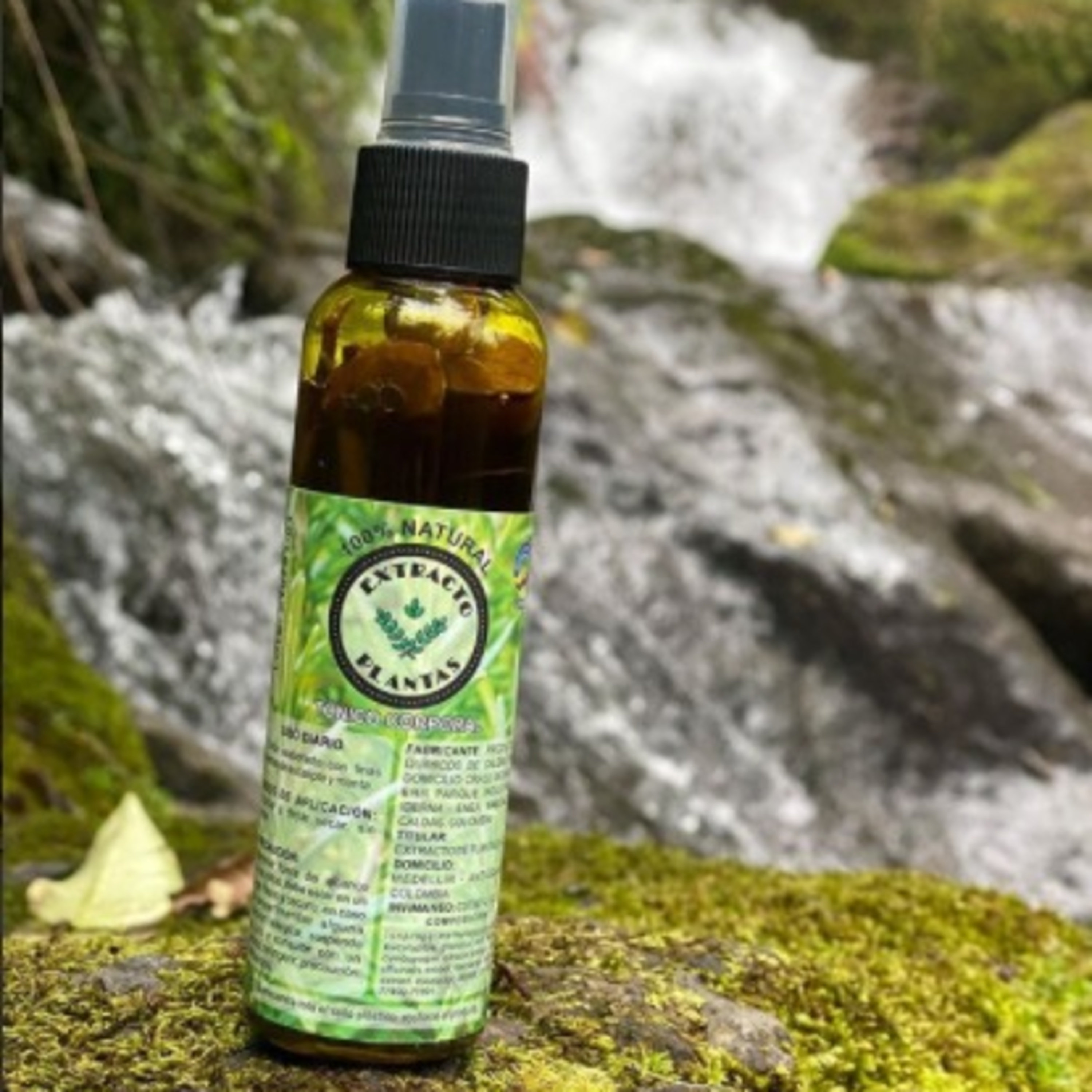 Extracto de Plantas: la alternativa medicinal de la naturaleza