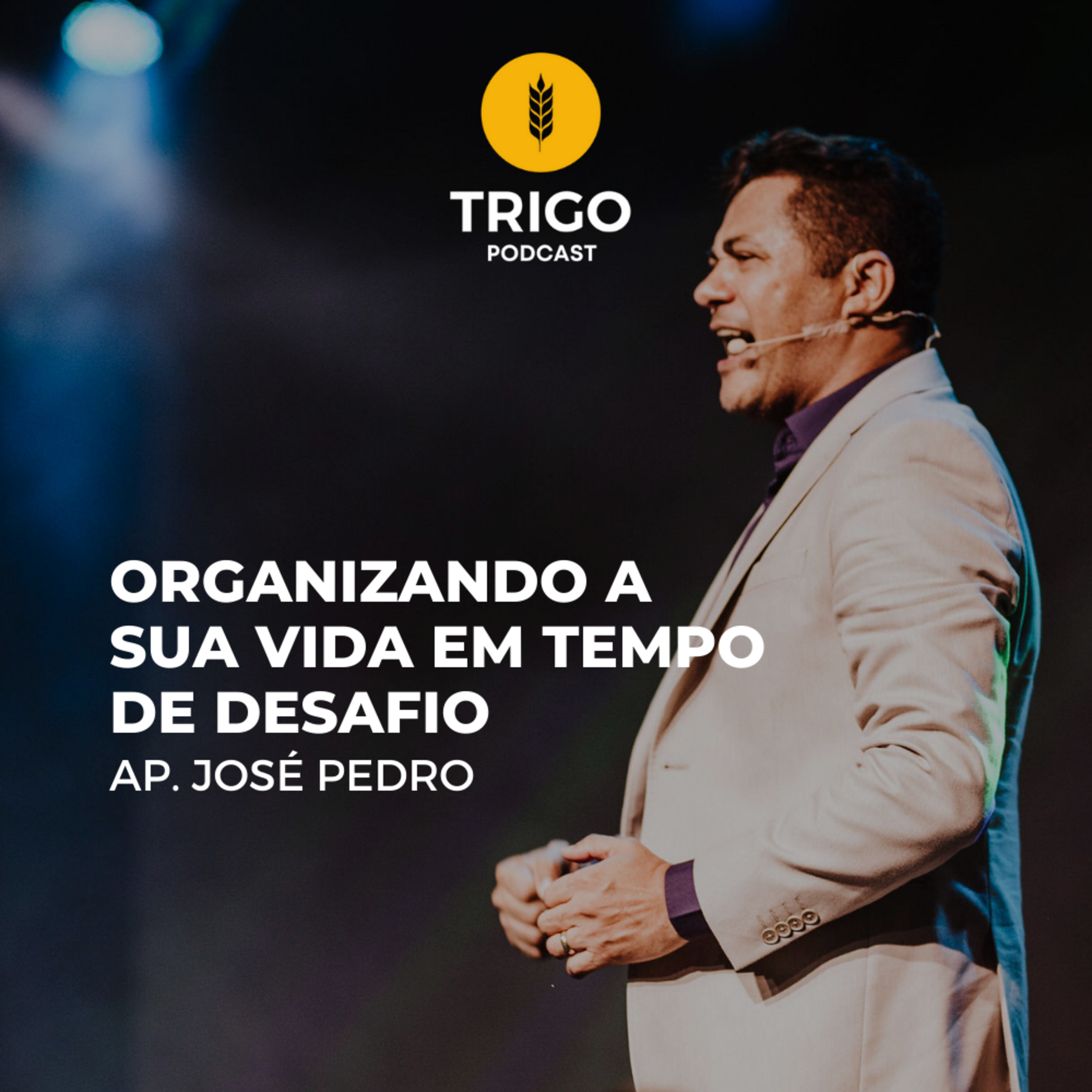 Trigo Podcast
