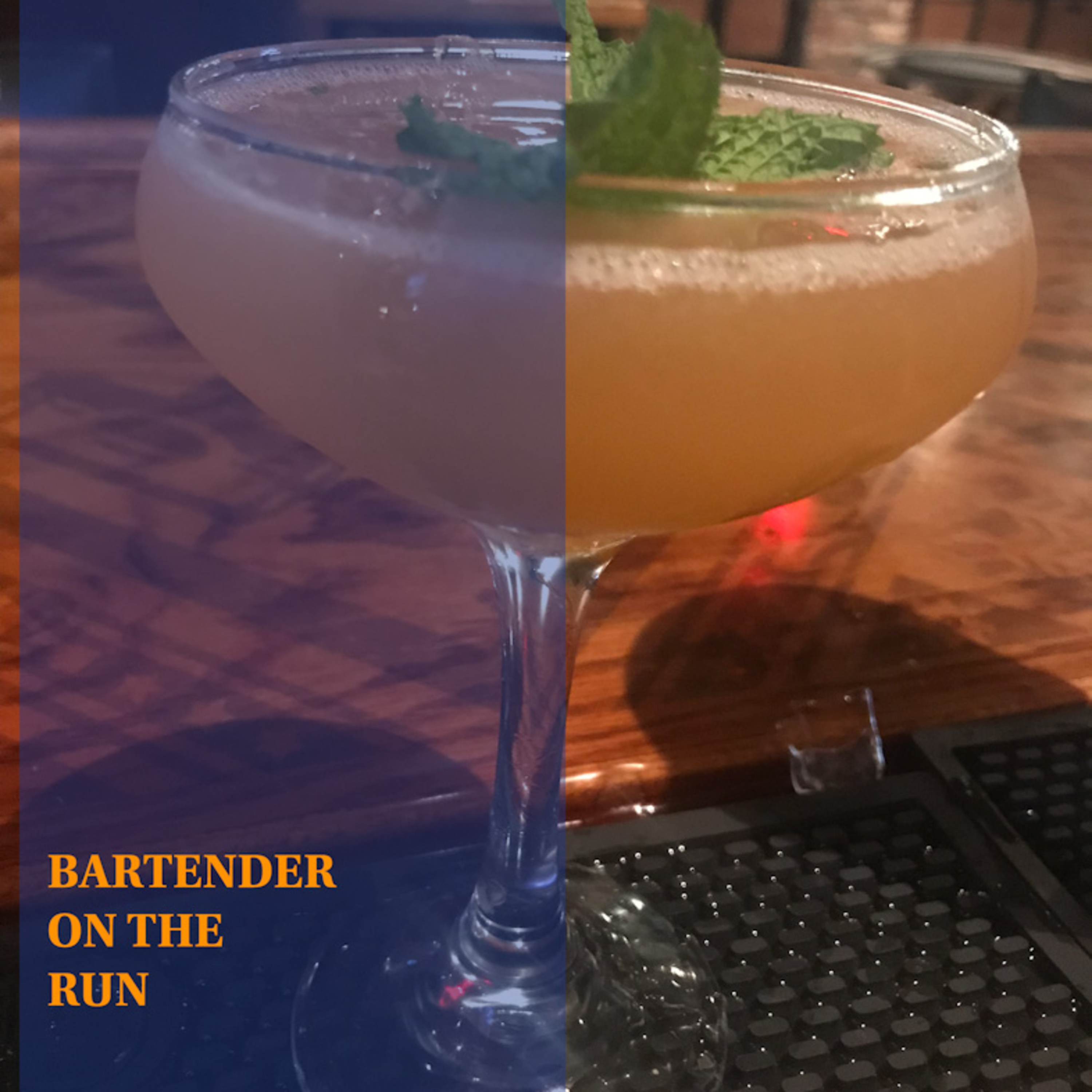 Hot Bartender: Are They Leaders of the Free World?