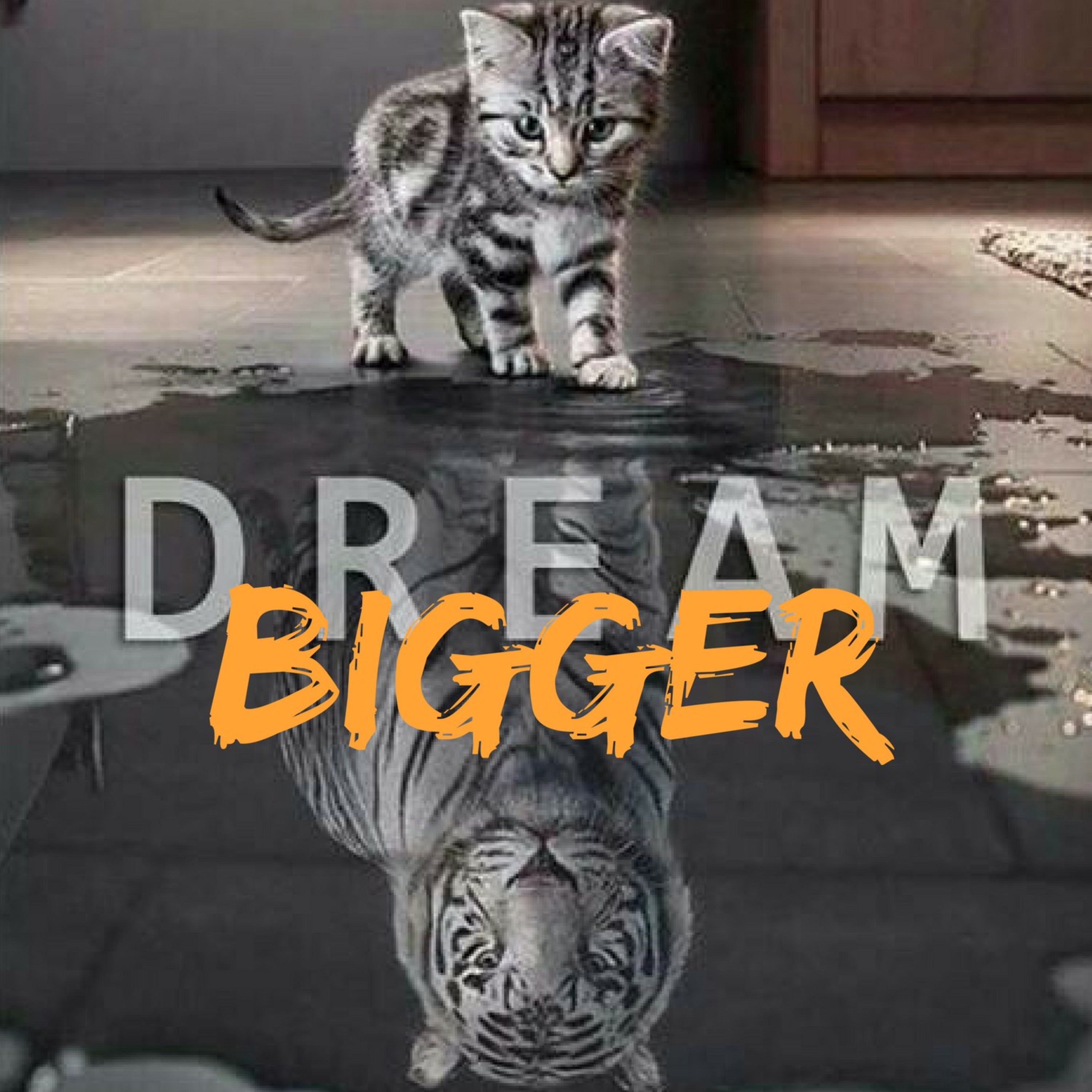 Dream Bigger! (Series) episode artwork