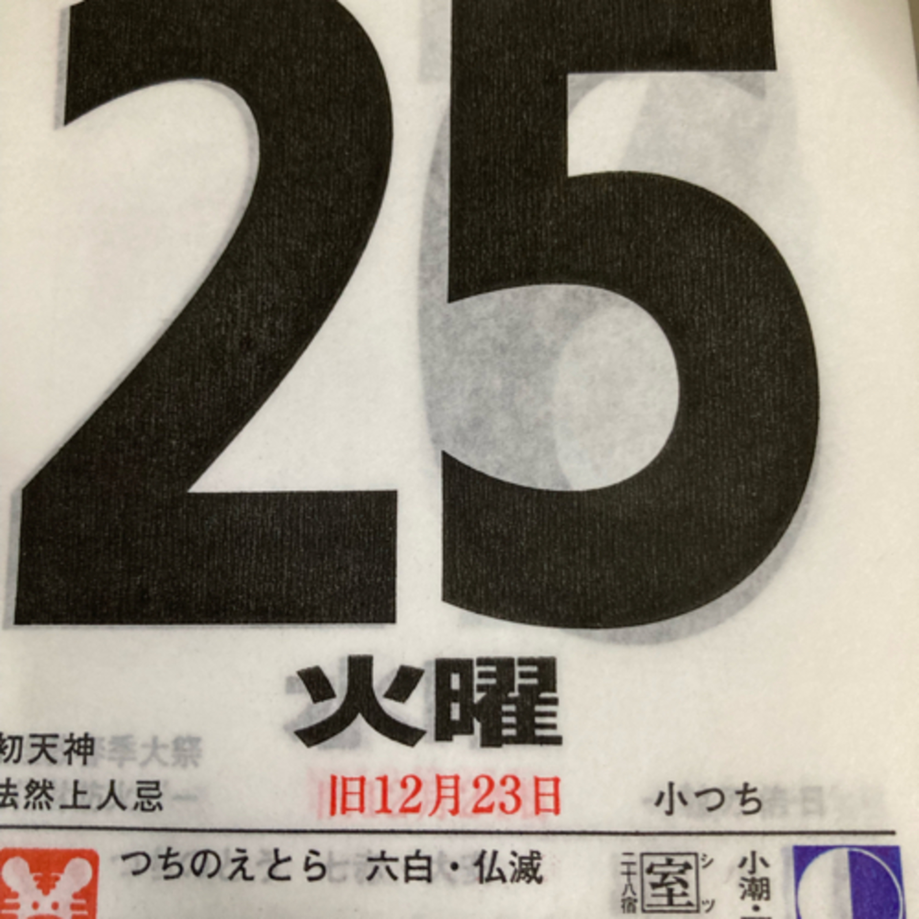 1月２５日（火）寅年招福開運カレンダー「笑う顔に矢立たず」　　　⭐️ハッピィ丸山の概要: https://smappon.jp/b9zsedvd episode artwork