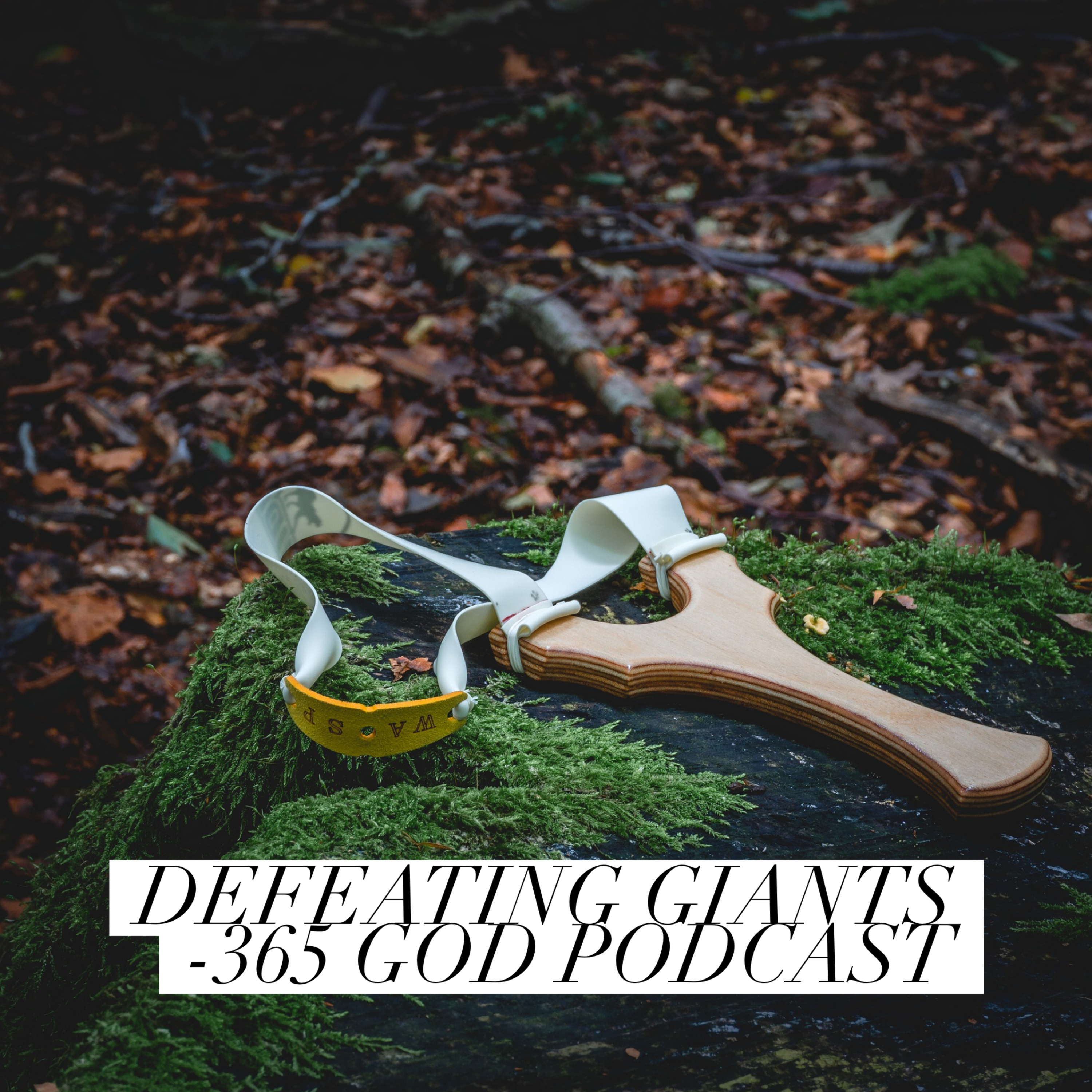 365 GOD By Beryl Cowthran