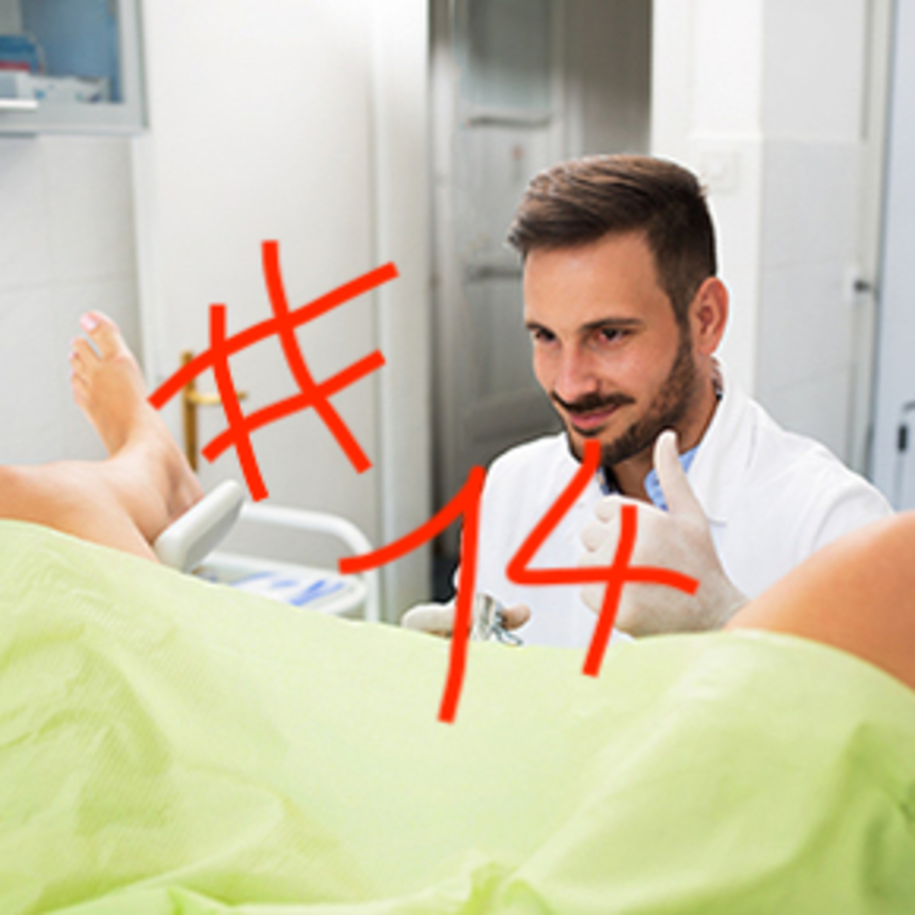 herrliche Fakten mit Mats & Ferdi