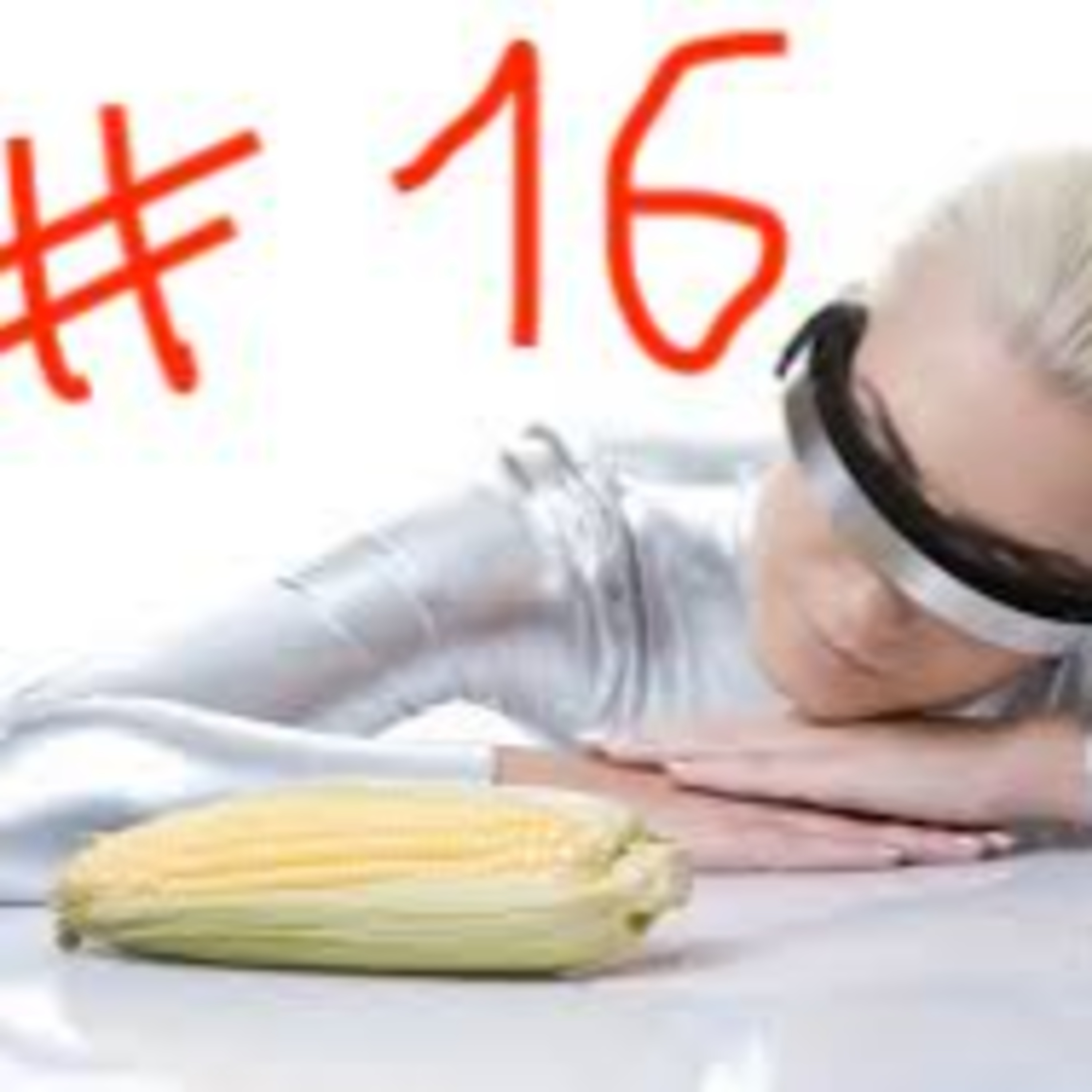 herrliche Fakten mit Mats & Ferdi