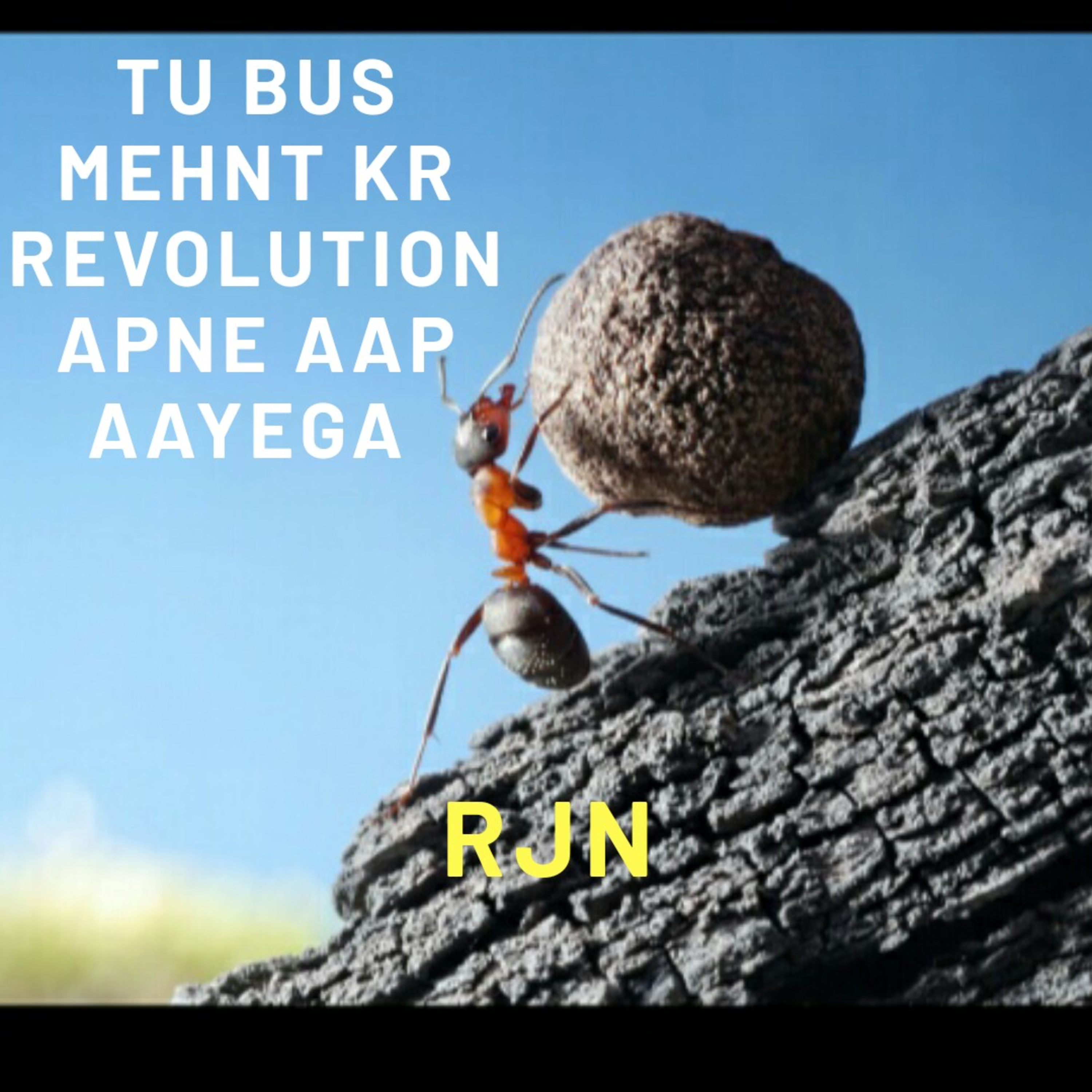 Tu bus mehnt kr revolution apne Aap aayega 🔥  episode artwork