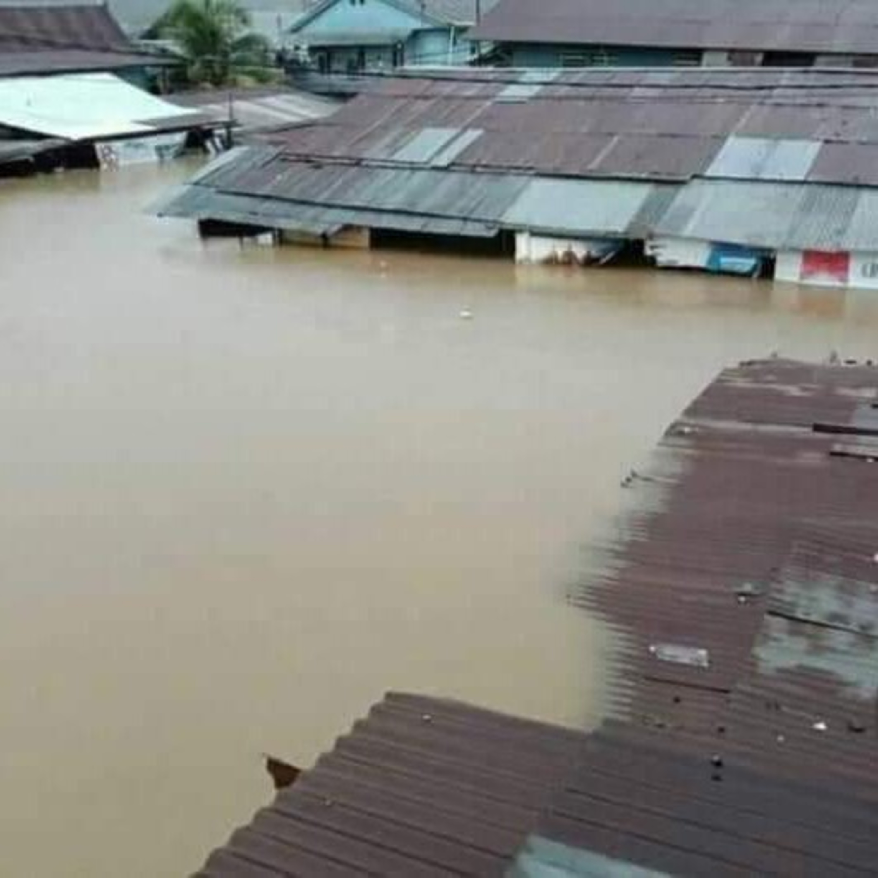 Banjir dan Longsor di kota Jayapura episode artwork