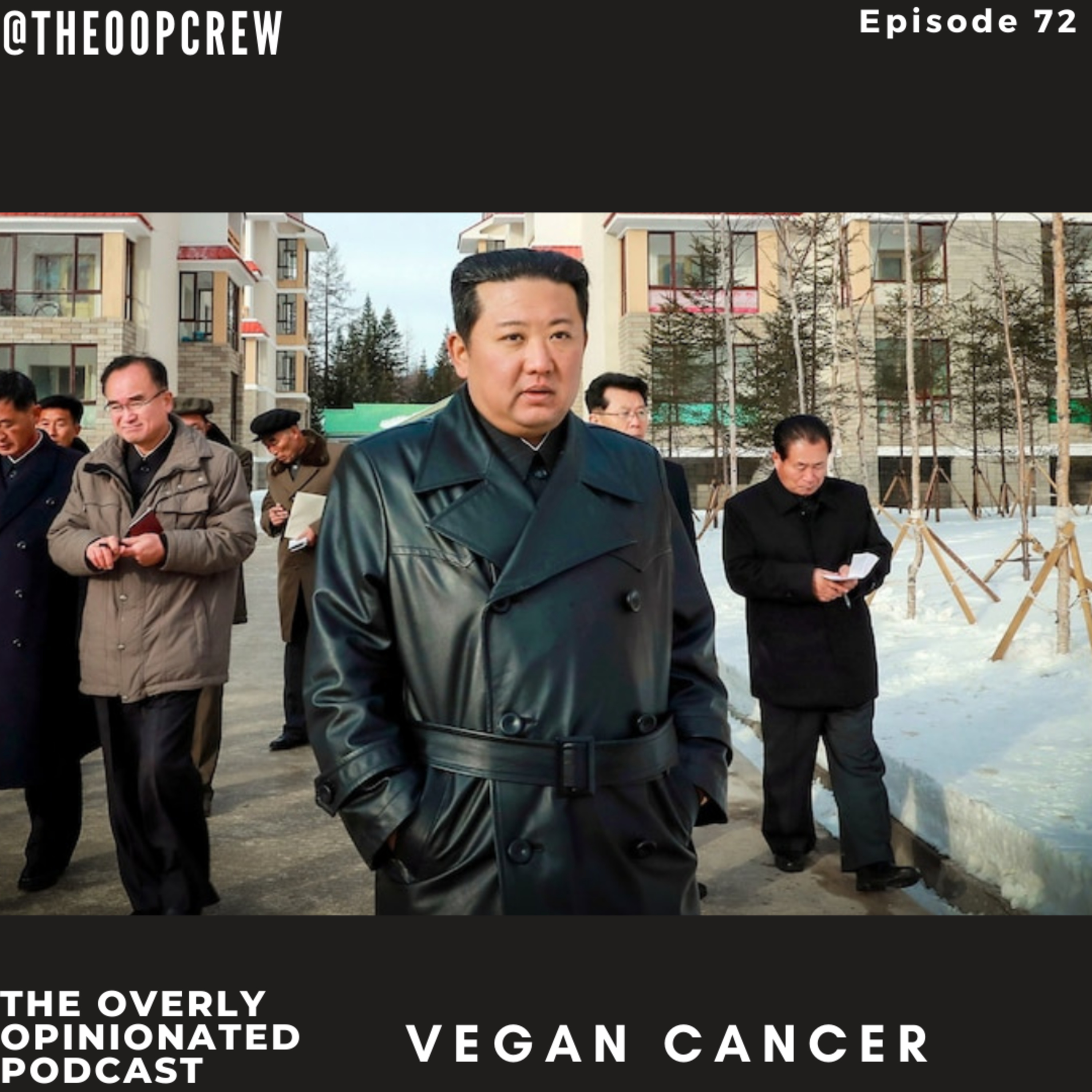 Vegan Cancer episode artwork