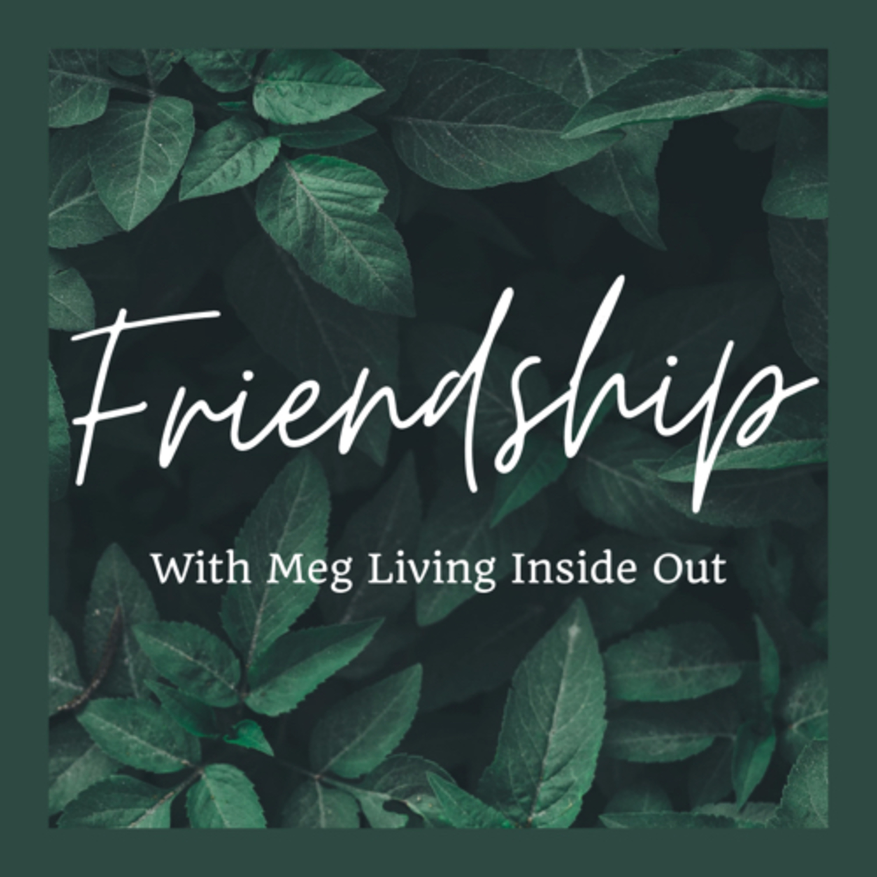 What is Friendship?  episode artwork
