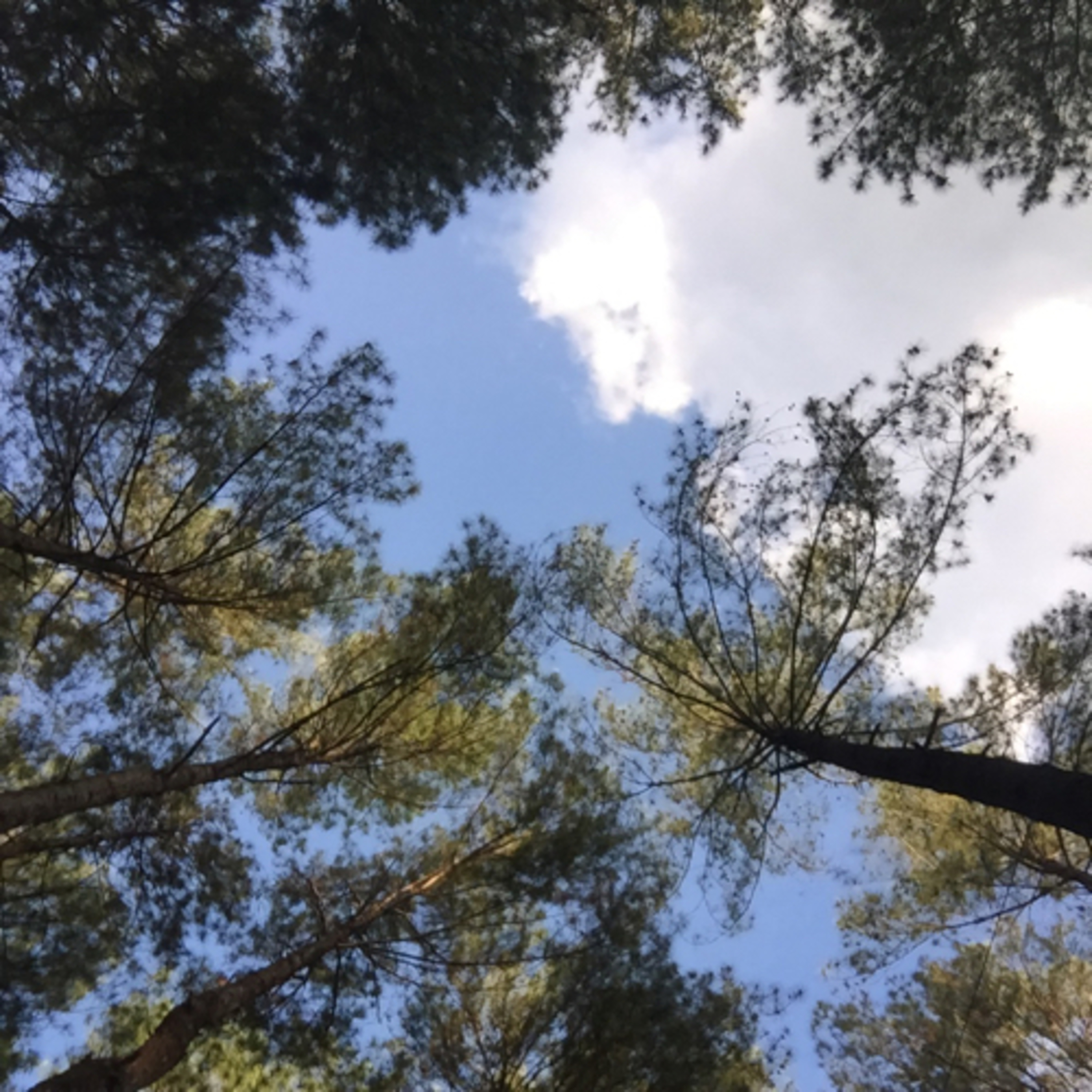 Rahasia. Awal dan akhir.