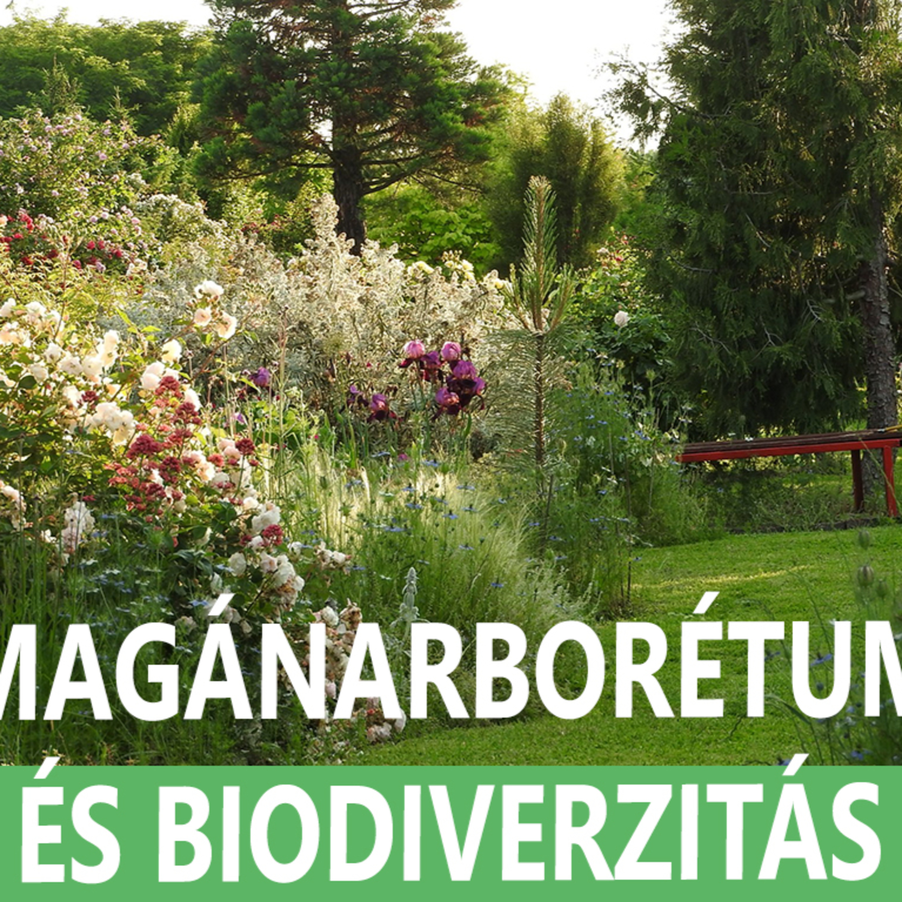 Magánarborétum és biodiverzitás a fenntarthatóság jegyében, avagy a Csodáskertem
