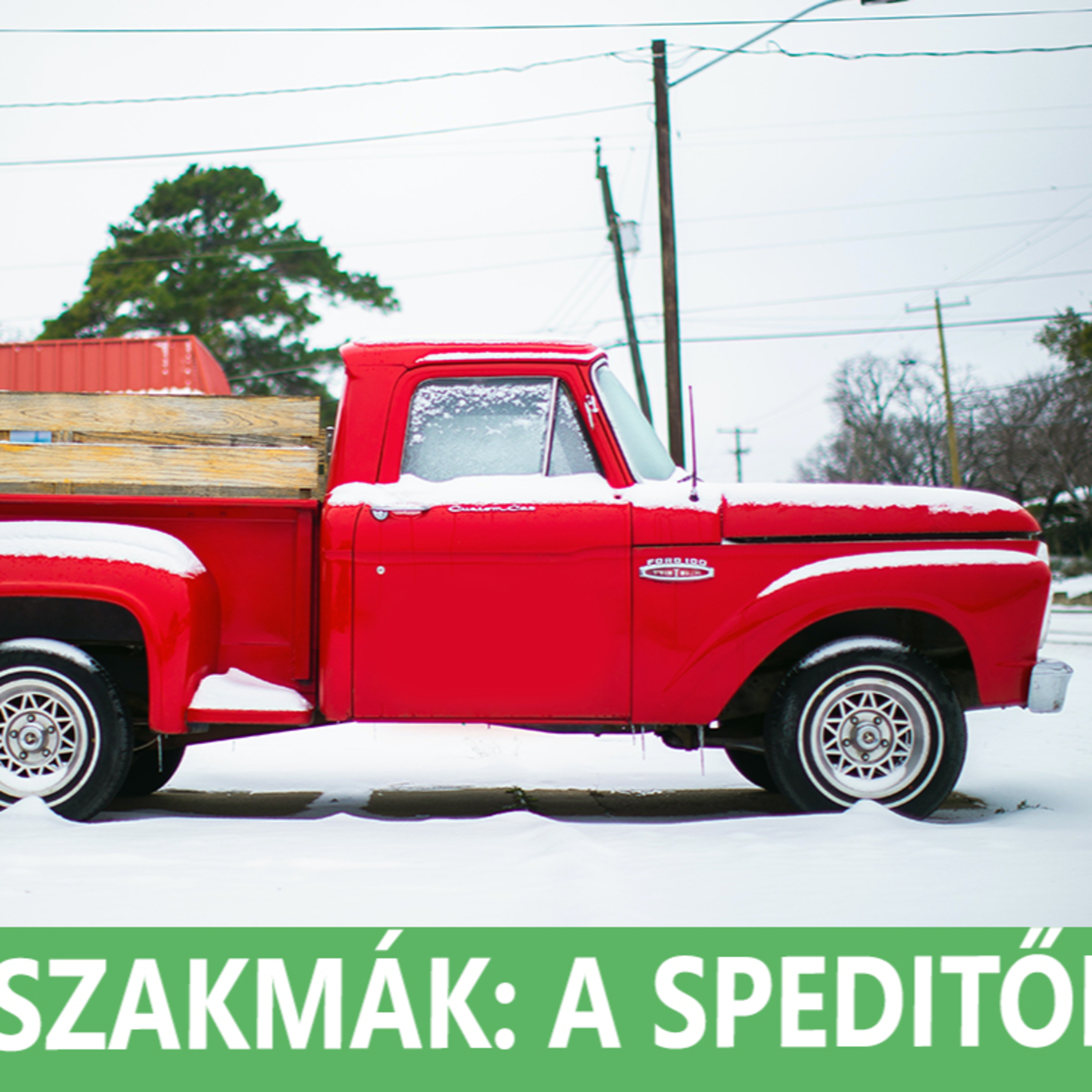 A szállítmányozás 30 éve - Riportbeszélgetés Pribelszki Máriával