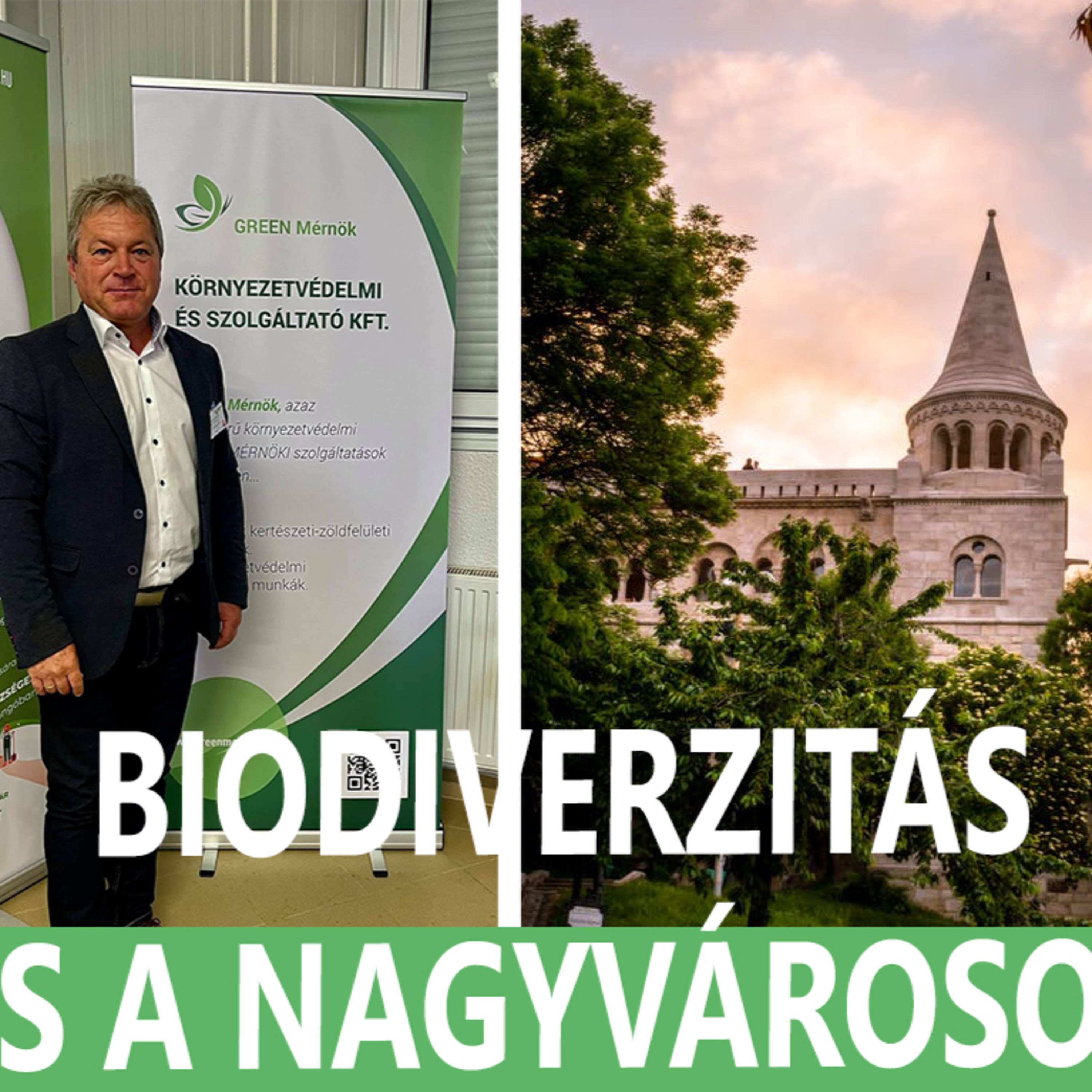 Biodiverzitás és a nagyvárosok - Szabó Józseffel beszélgettünk a témában