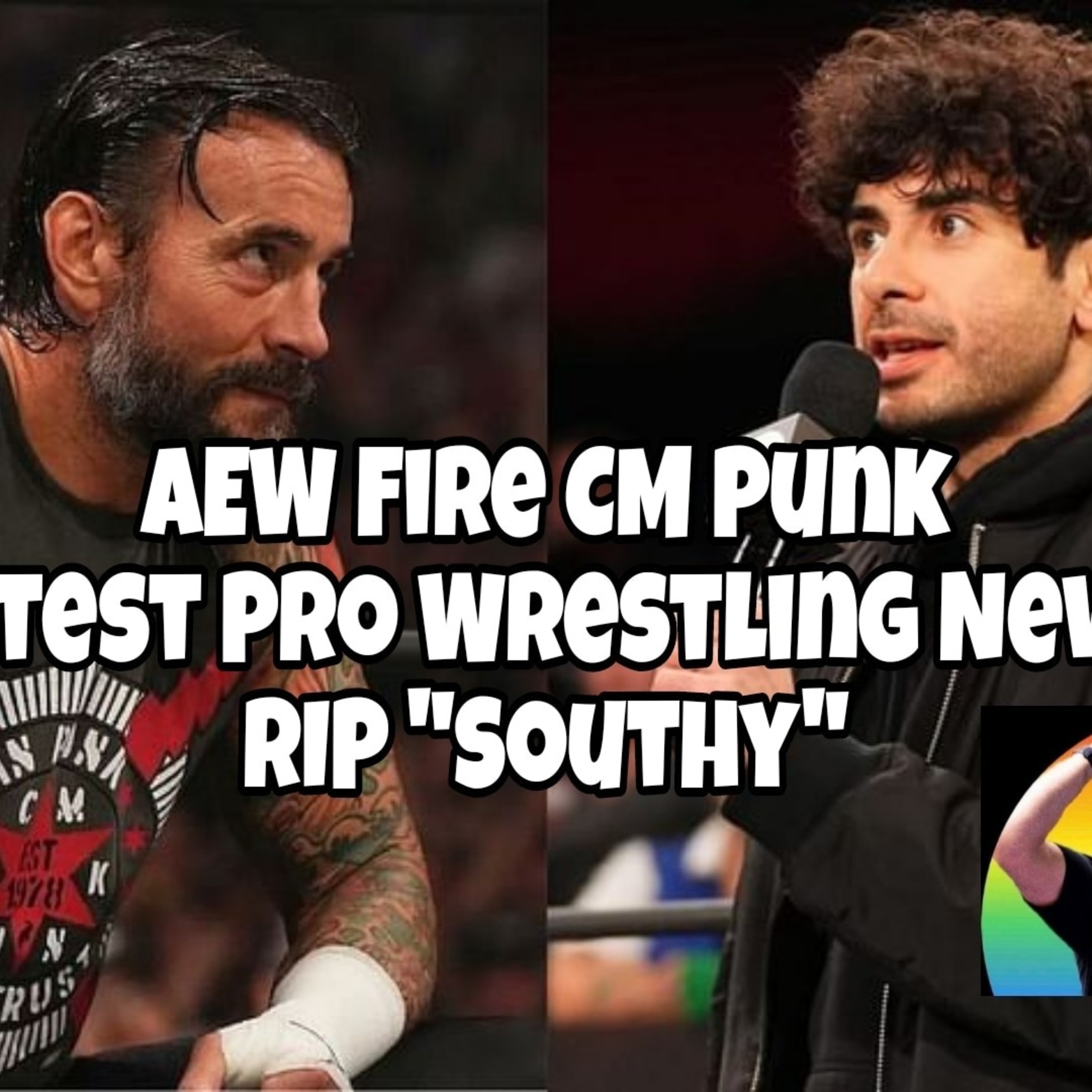 Pro Wrestling Update episode artwork