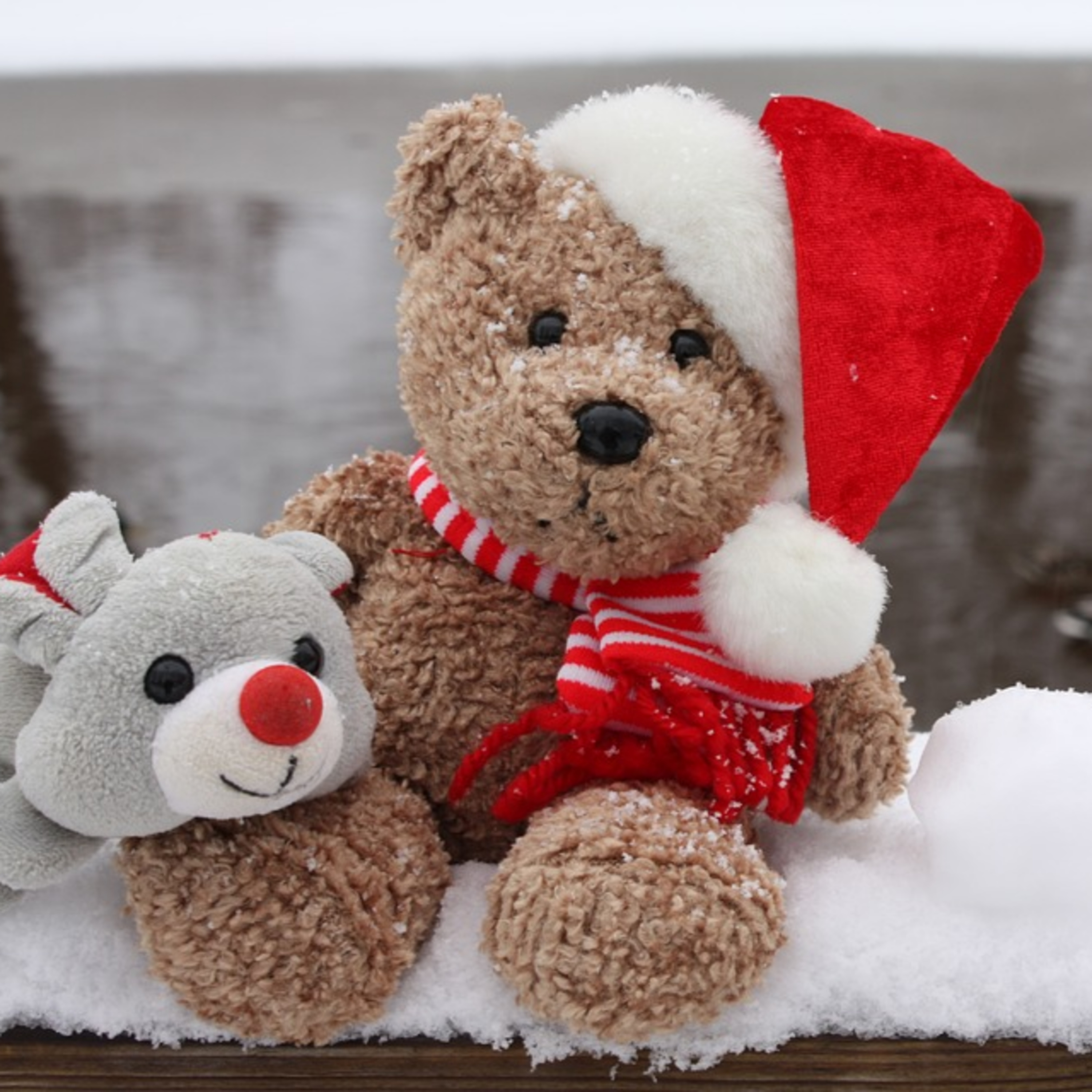 Your Favourite Christmas Memories - It's Your Call Dec 22, 2022