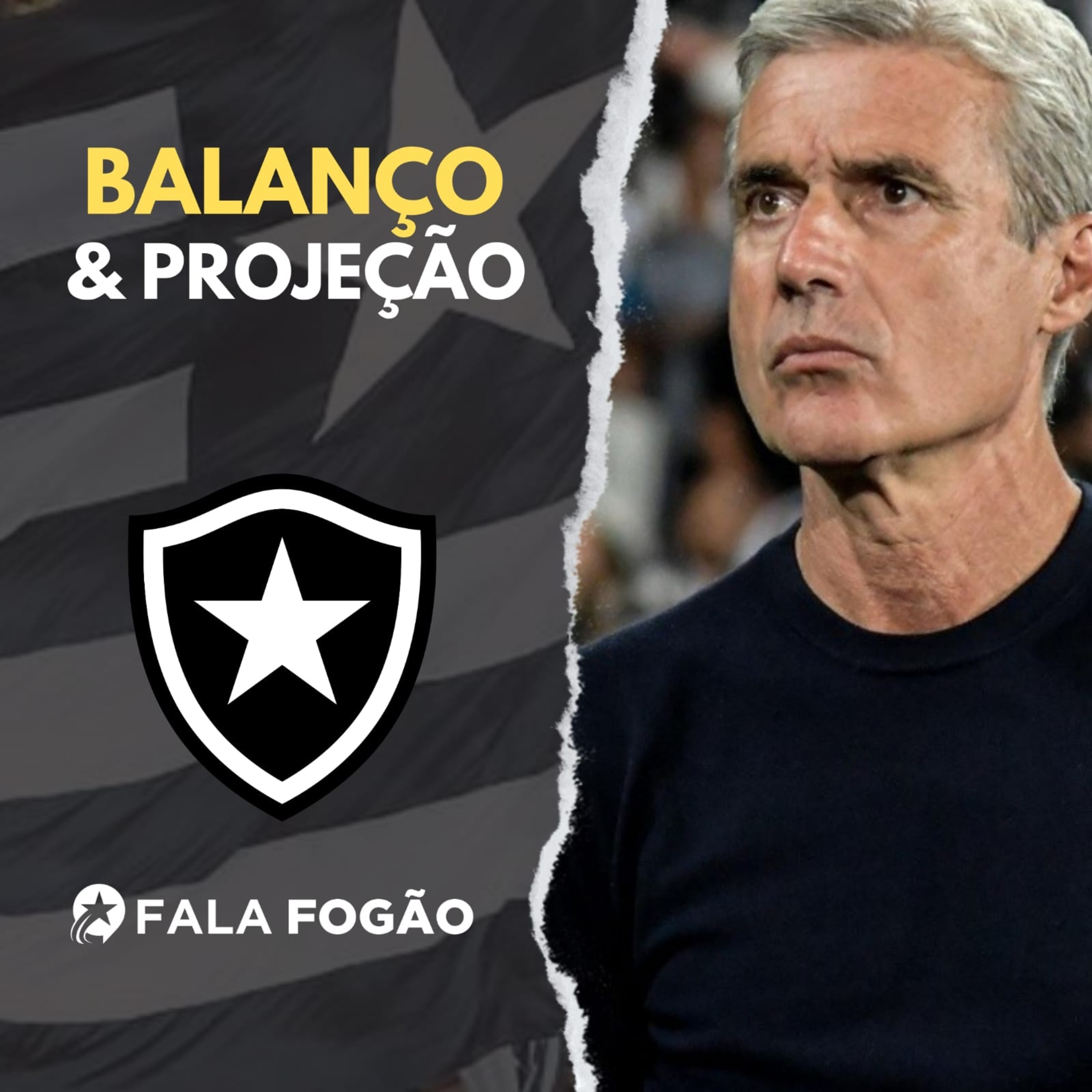 BOTAFOGO NO BRASILEIRÃO: BALANÇO DO PRIMEIRO
TURNO E PROJEÇÃO PARA O SEGUNDO episode artwork