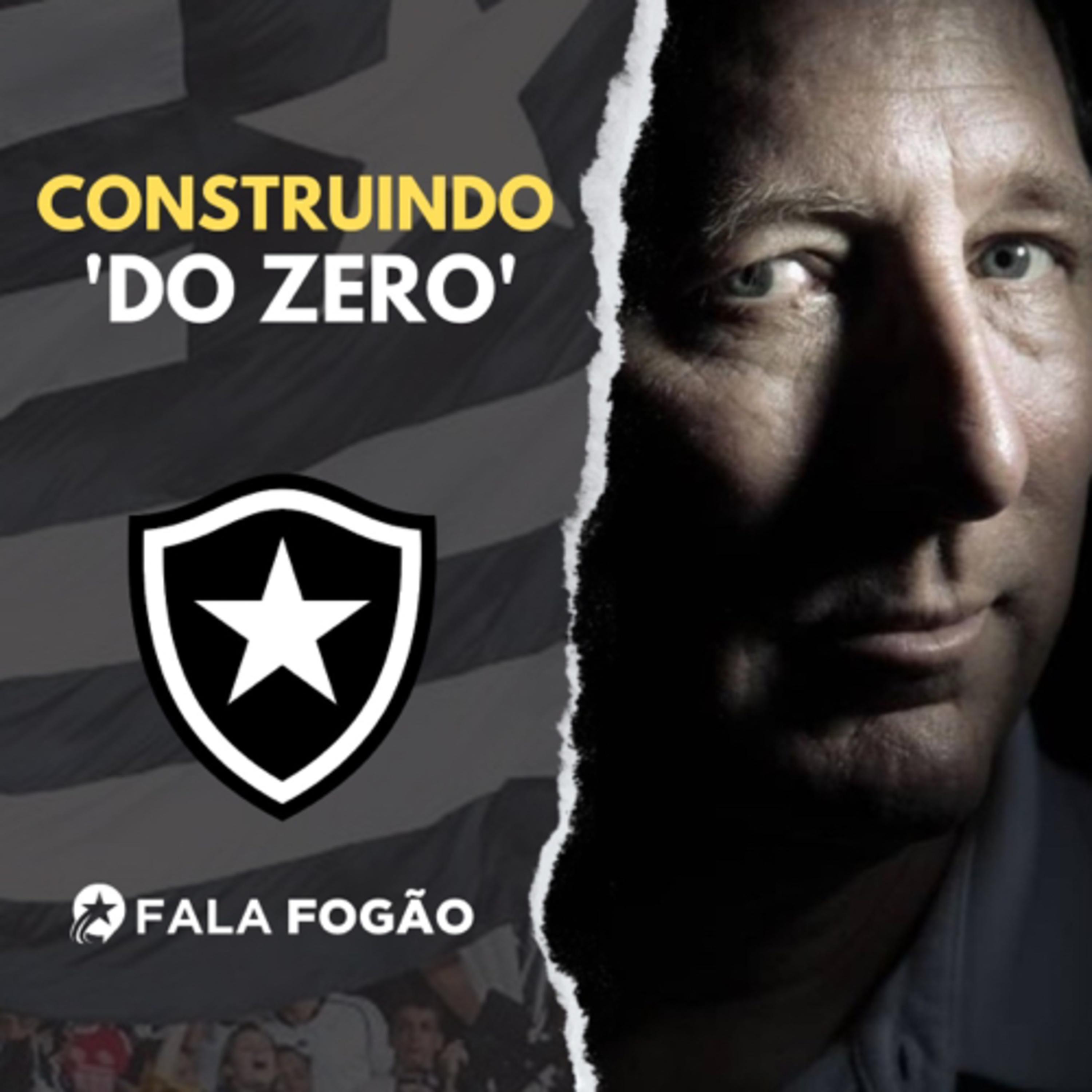 DO EXTRACAMPO AO CAMPO E BOLA: BOTAFOGO É UM TIME EM CONSTRUÇÃO E 'DO ZERO'! episode artwork