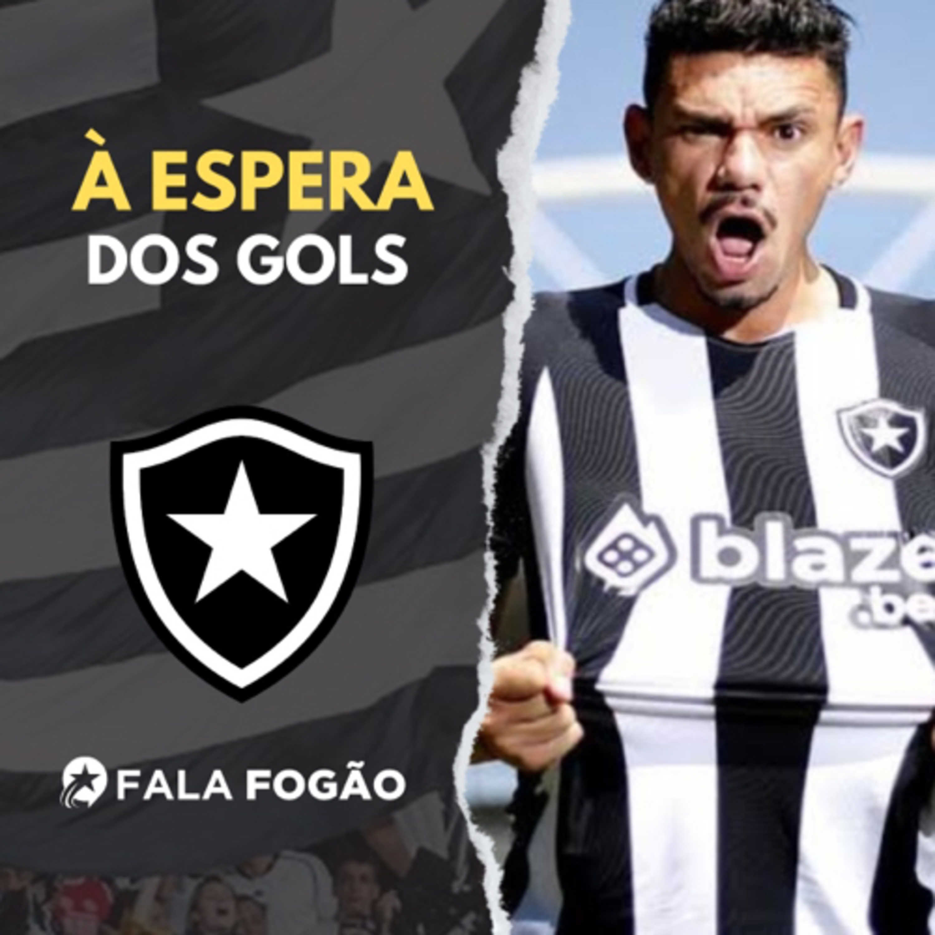 TIQUINHO É ESPERANÇA DE GOLS PARA BOTAFOGO REAGIR |
PK TEM CONFIANÇA INTERNA episode artwork