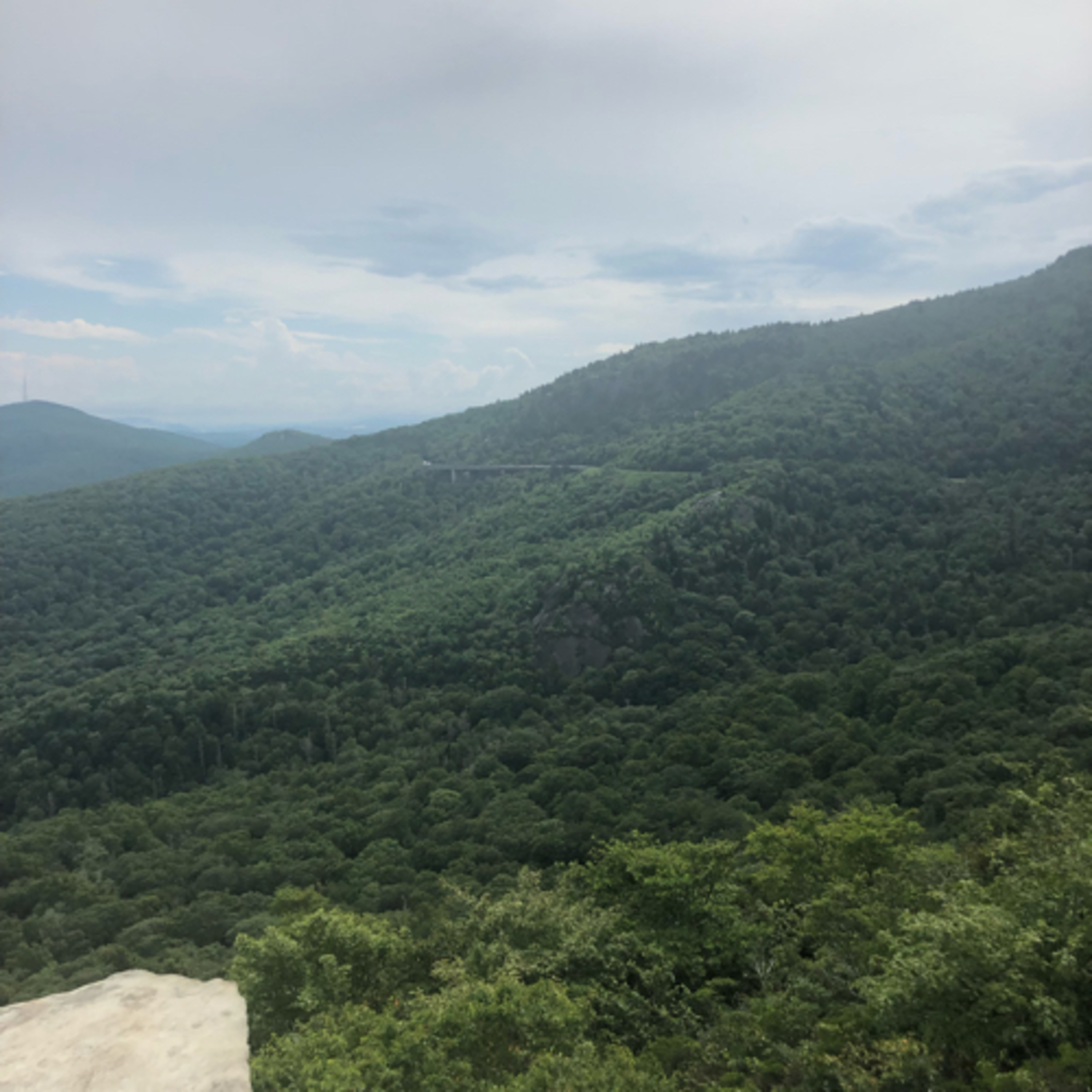 Job interviews and Madden ratings