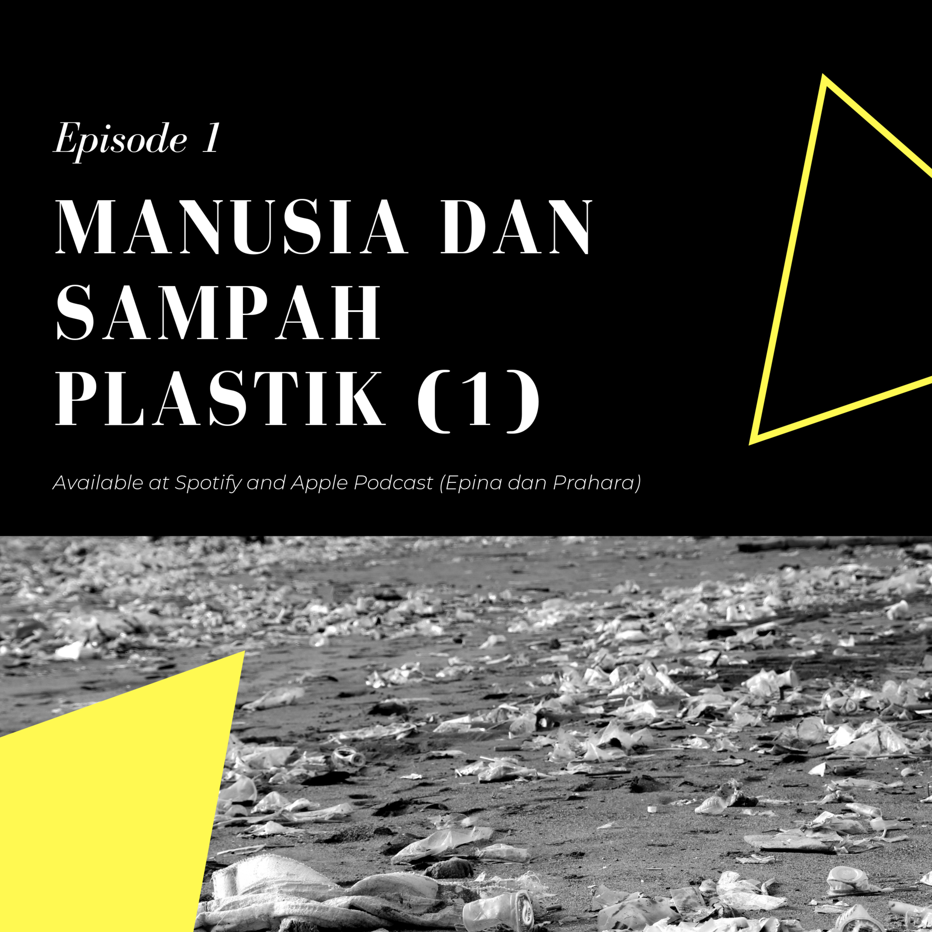 Epina dan Prahara