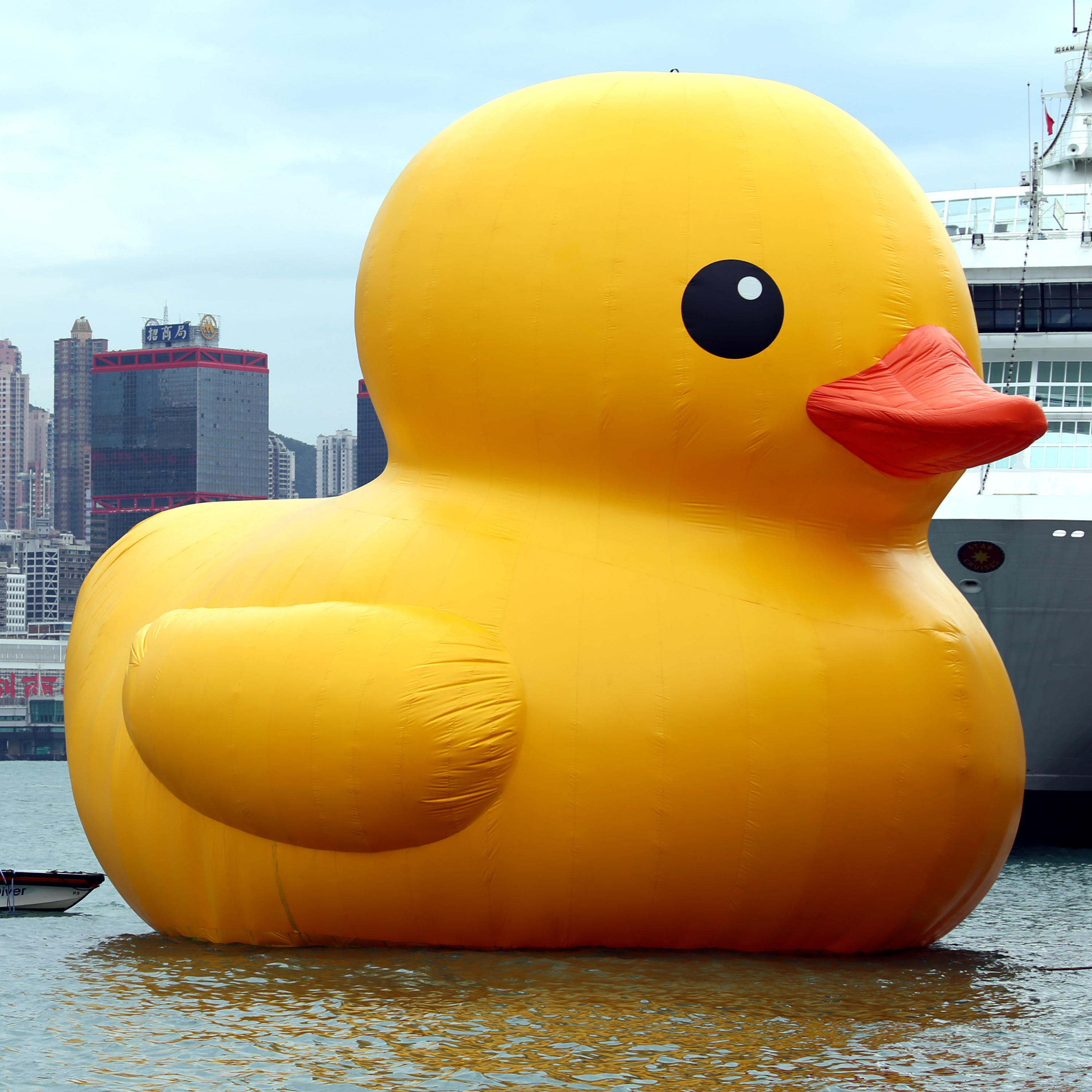 CYBER ATTACK!!, Sheilas, and Giant Rubber Ducky episode artwork