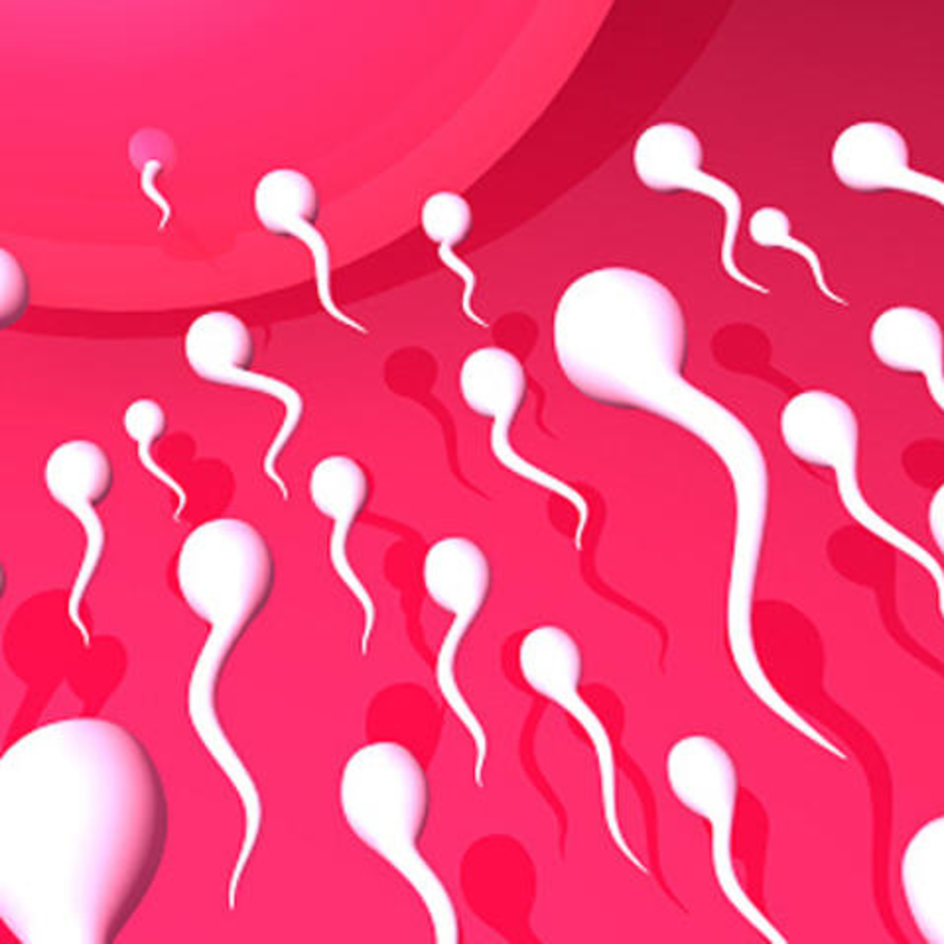 THE INCREDIBLE SHRINKING PENIS!! episode artwork
