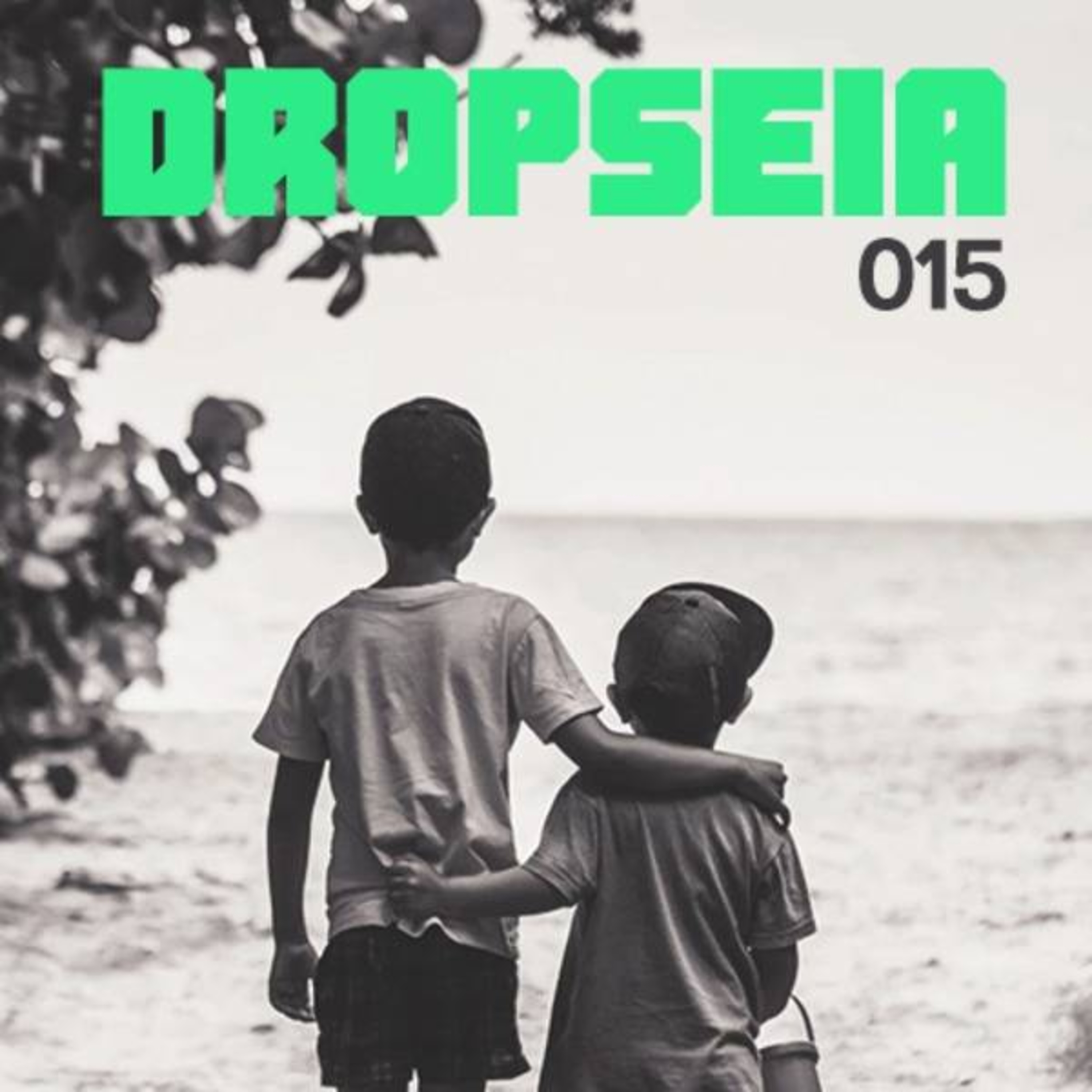 DROPSEIA 015 - AQUELE SOBRE IRMÃOS episode artwork