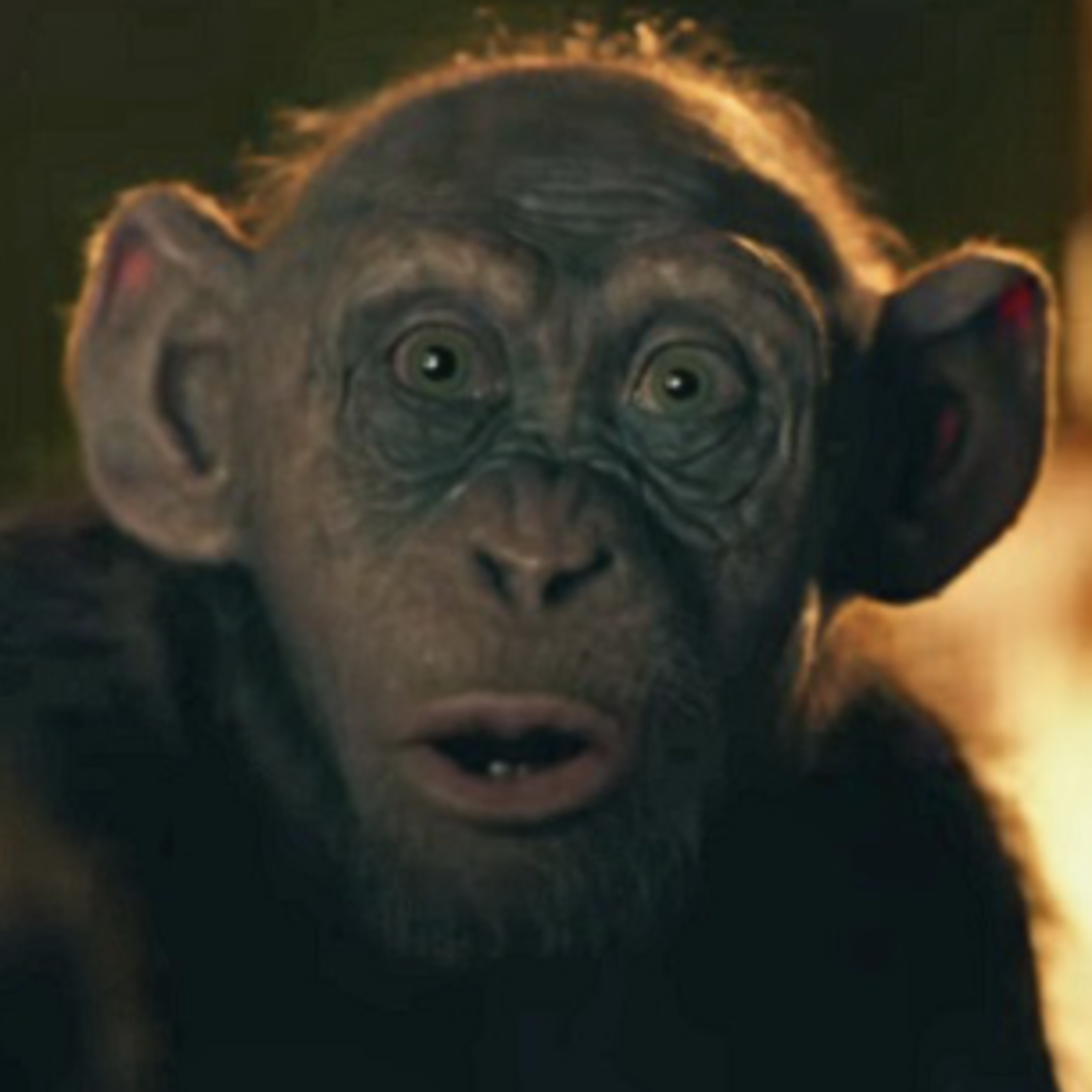 Evolution is Magic | Atheists Lie or Just Stupid? | What Might have been | We All Die Young | Scream Freedom episode artwork