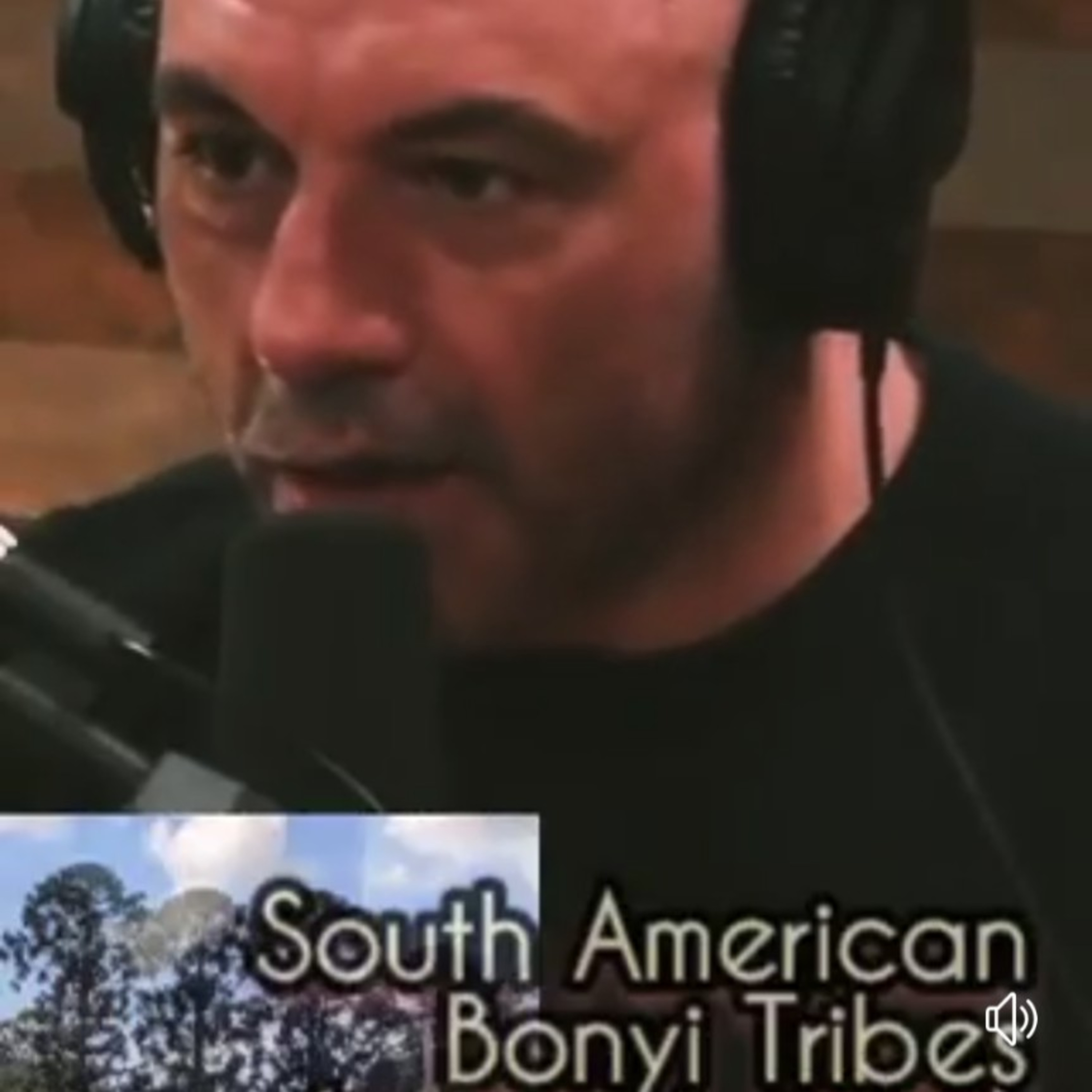 Bonyi Bush Books