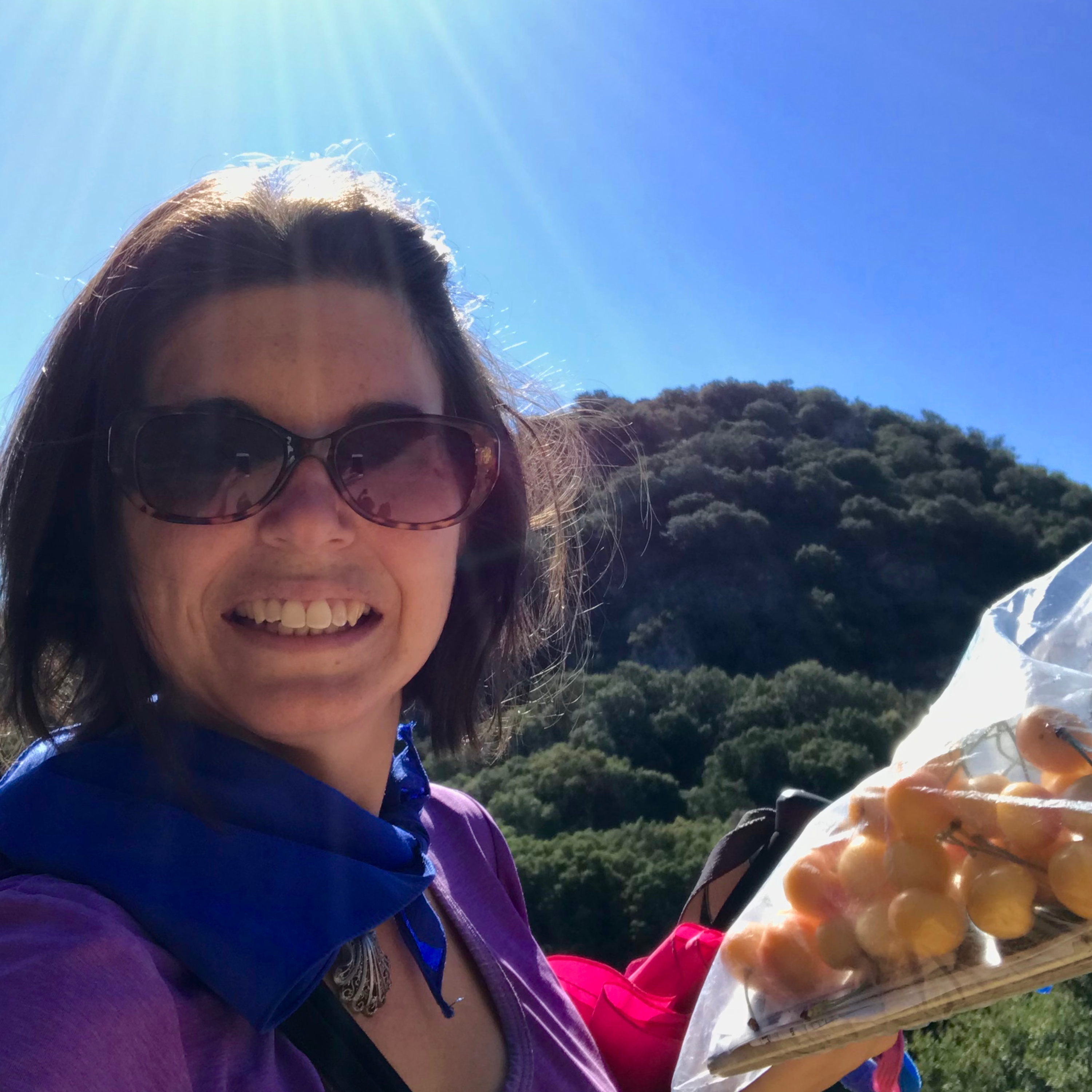 Camino de Santiago Pilgrims\' Podcast (monthly)