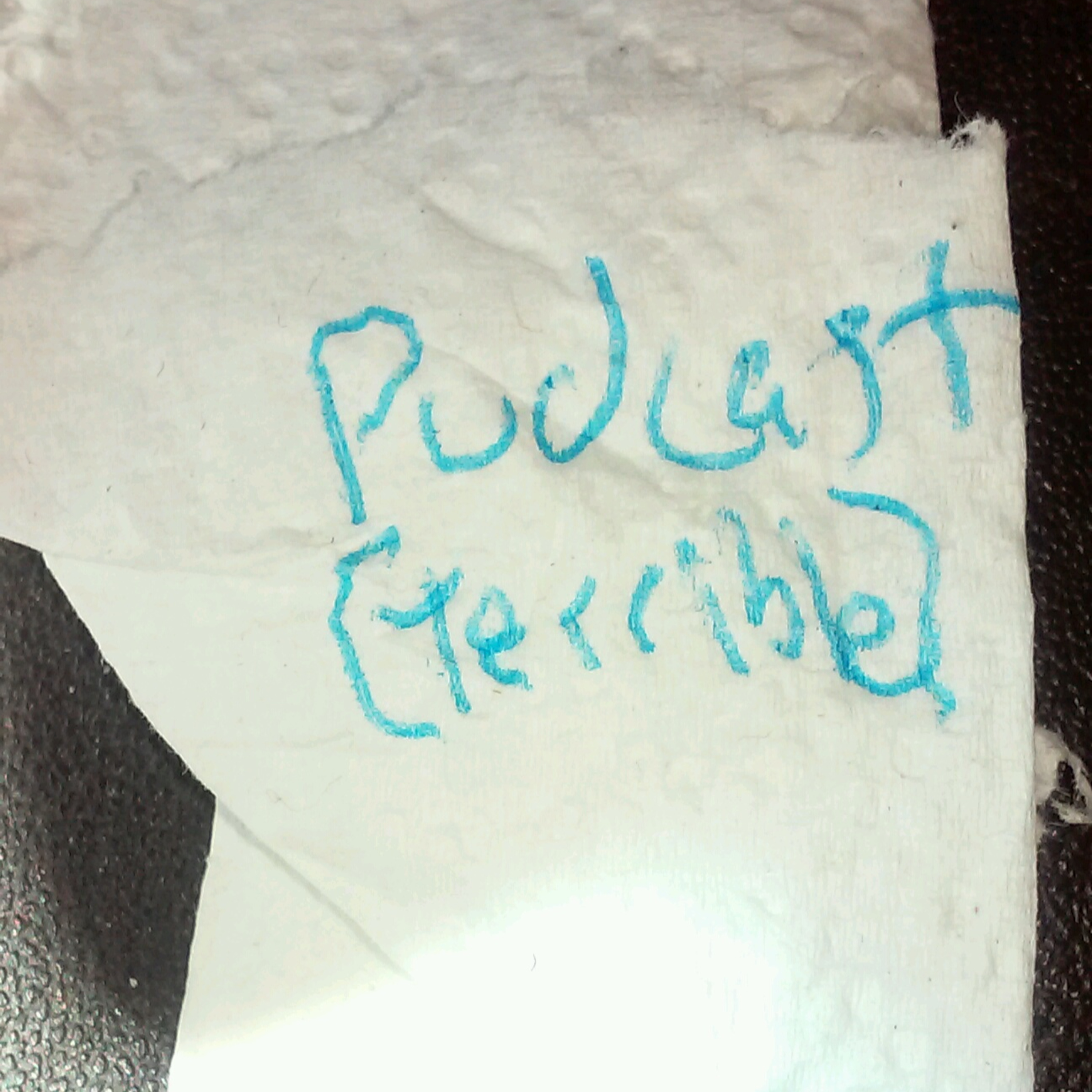 Pudcast (Terrible)