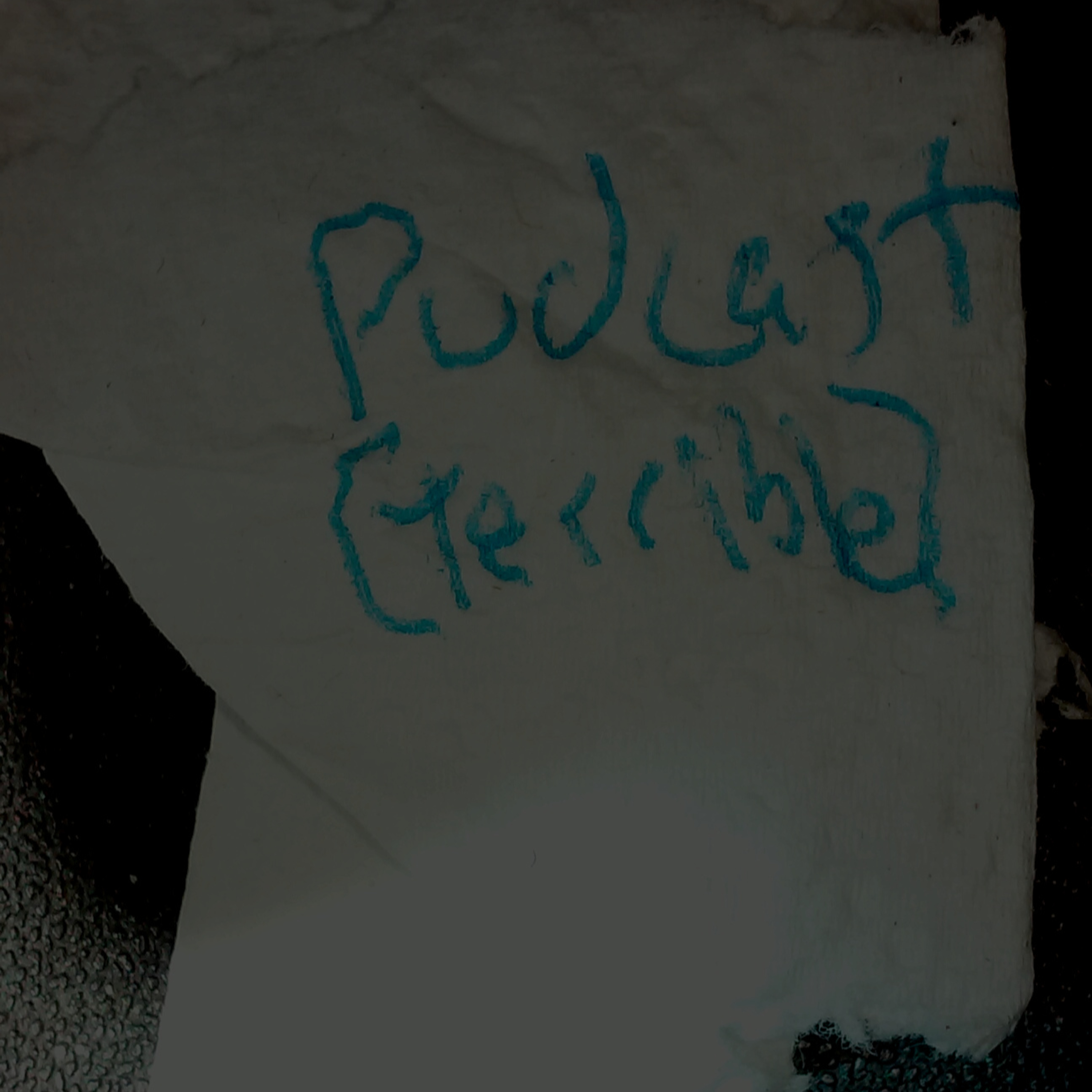 Pudcast (Terrible)