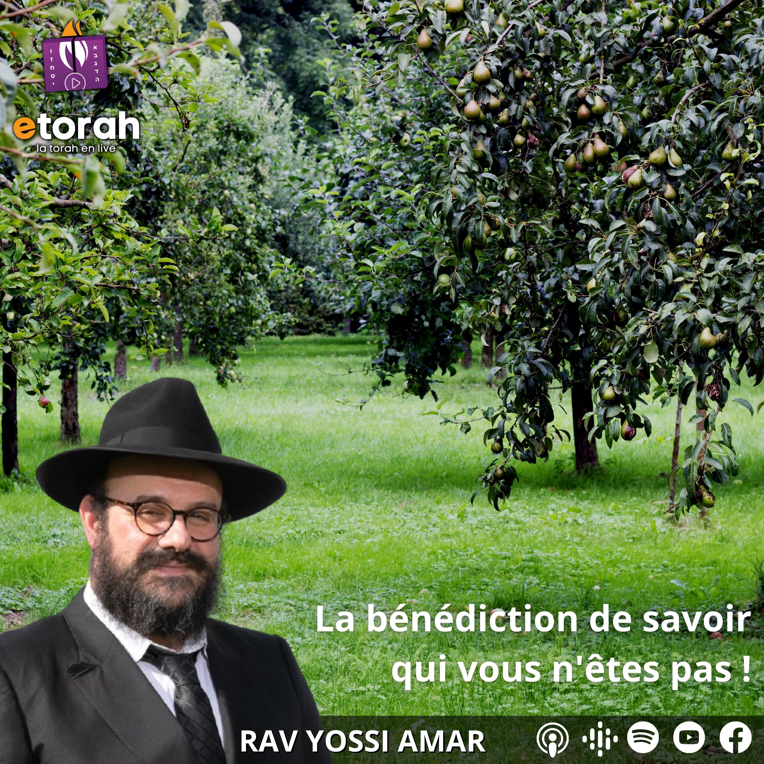 Tou Bichevat: La bénédiction de savoir qui vous n'êtes pas ! Tu est indispensable ! 