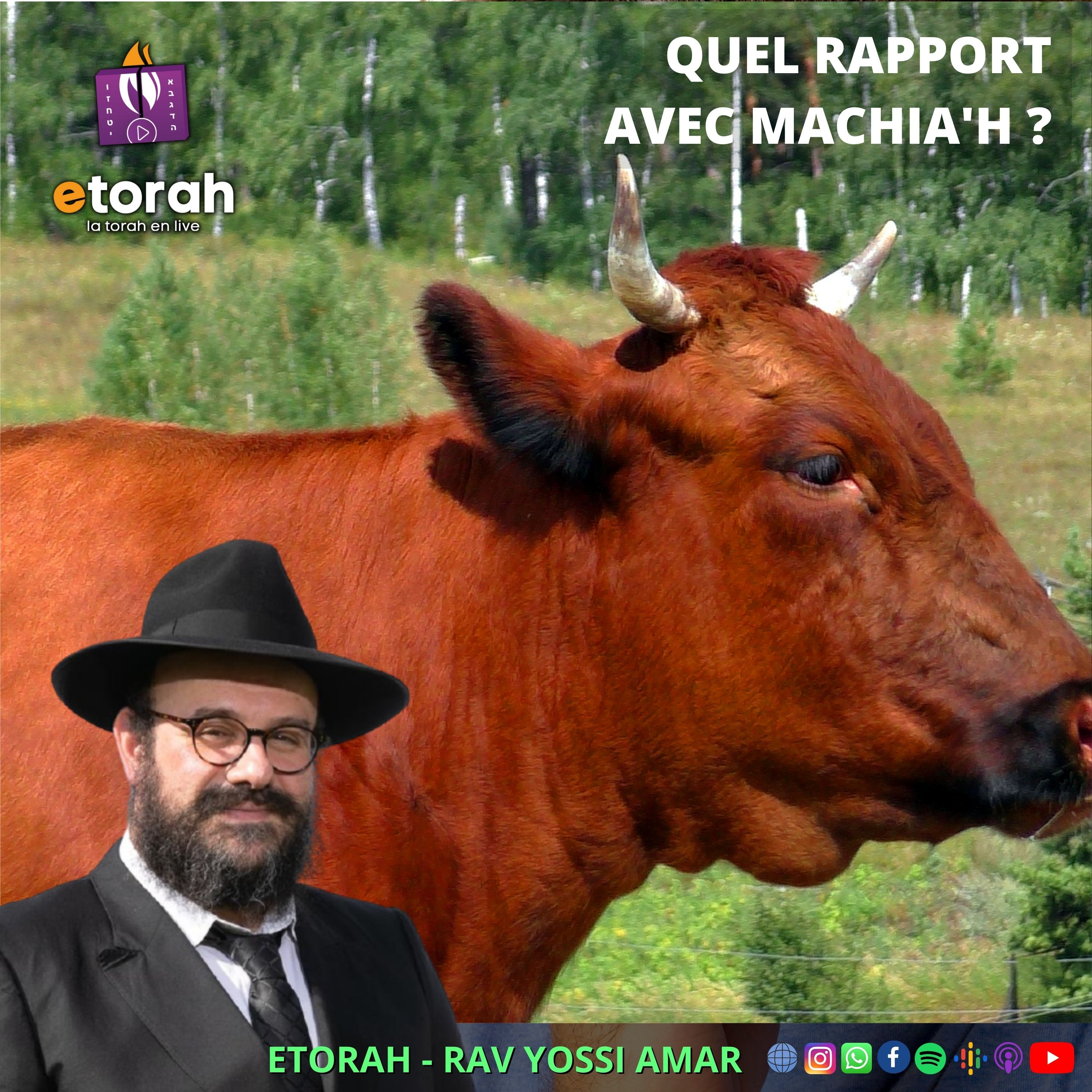Houkat: Pourquoi l’obligation de croire et attendre en la venue de Machia’h ? episode artwork