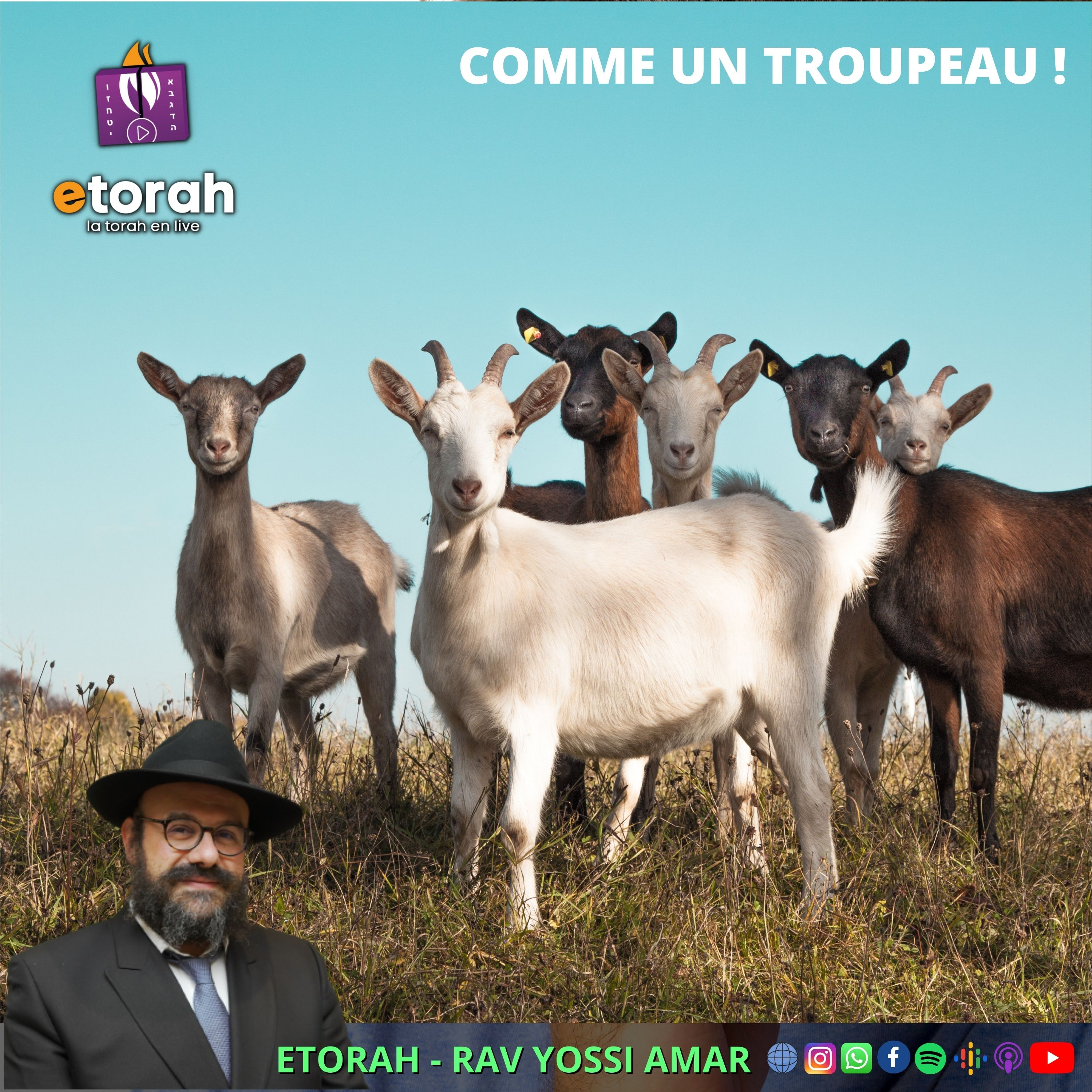 Vayetse: Pourquoi Yaacov missionne chacun de sortir et illuminer le monde ?! episode artwork