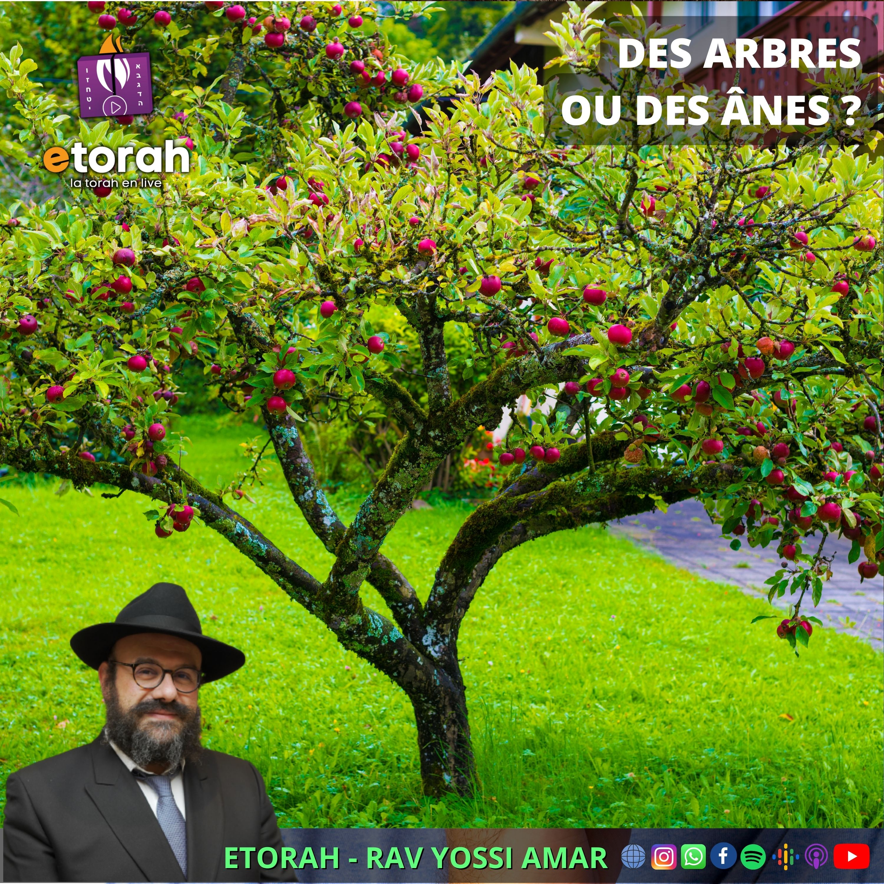Tou bichevat : Nous ressemblons plus aux arbres ou aux animaux ?! Pourquoi "l'arbre des champs" ?