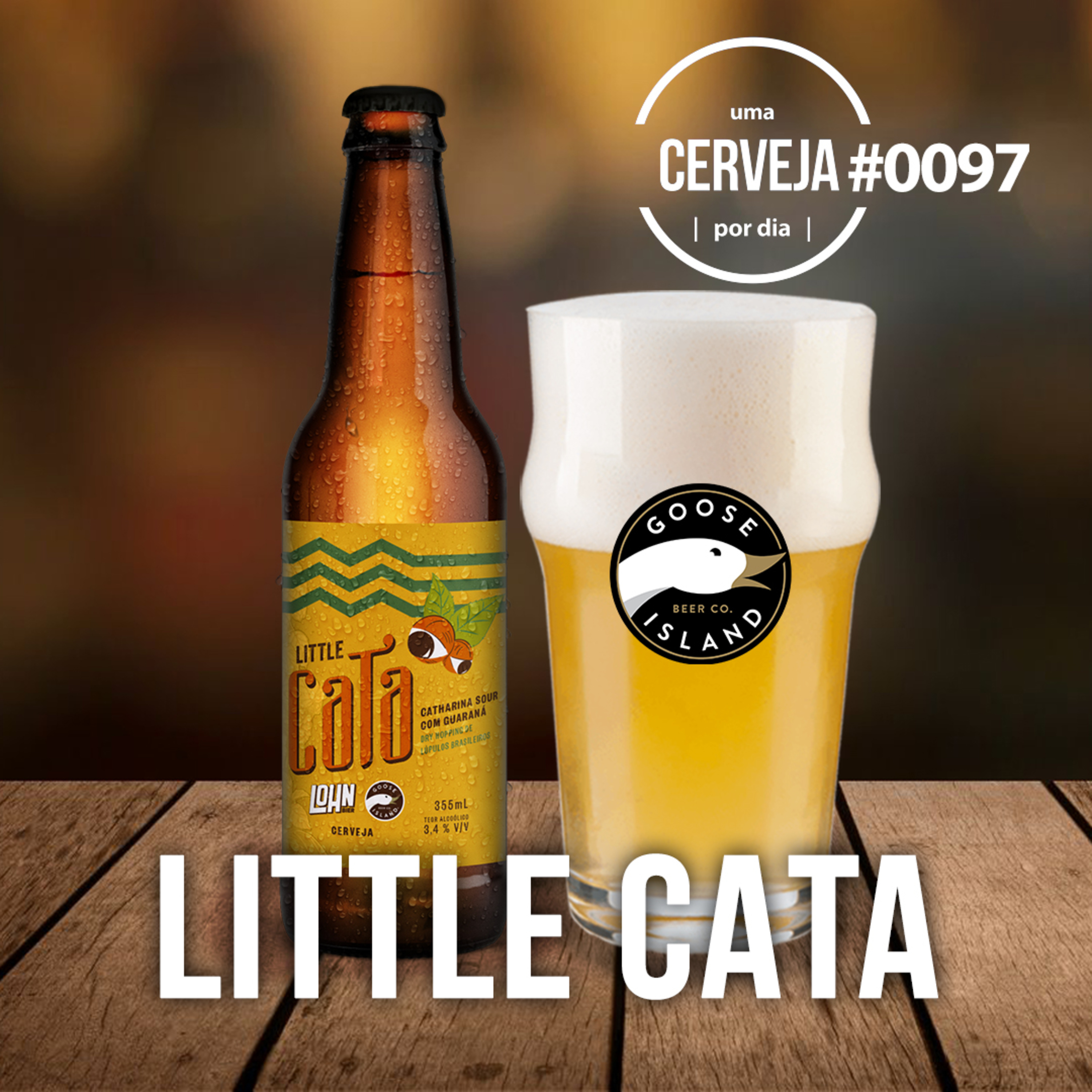 Uma Cerveja Por Dia